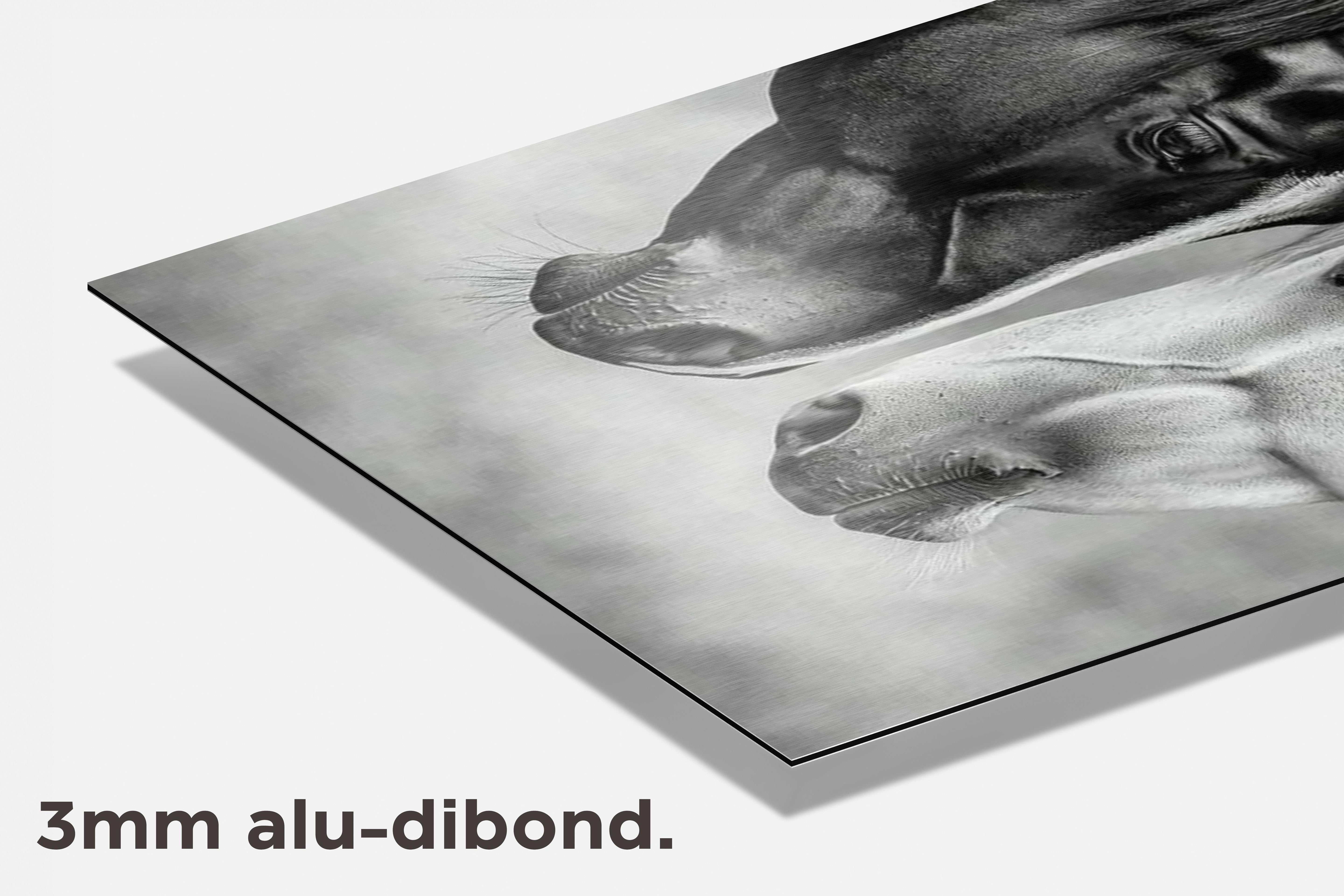 Paarden dibond detail