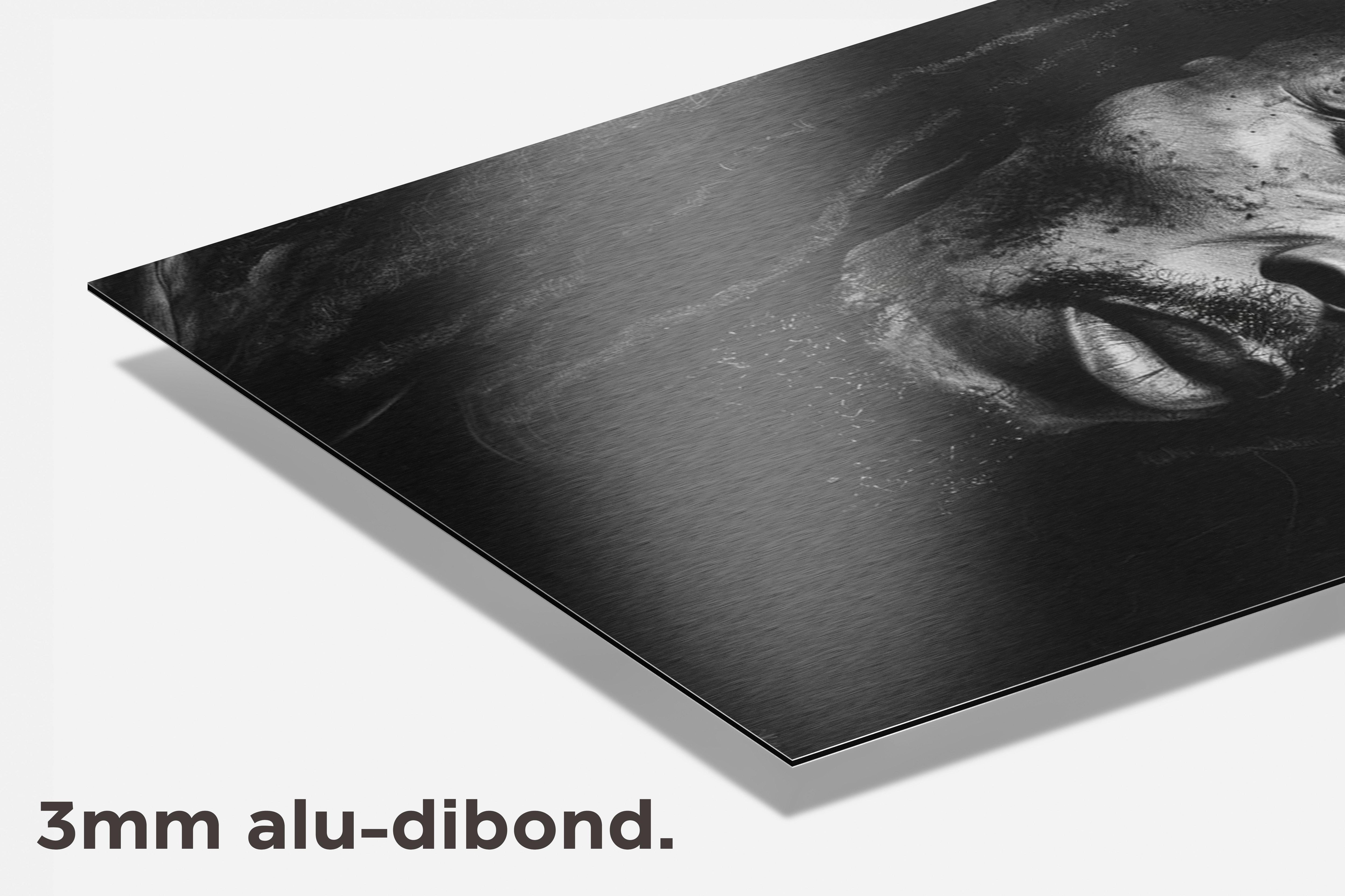 Bob Marley Zwart Wit dibond detail