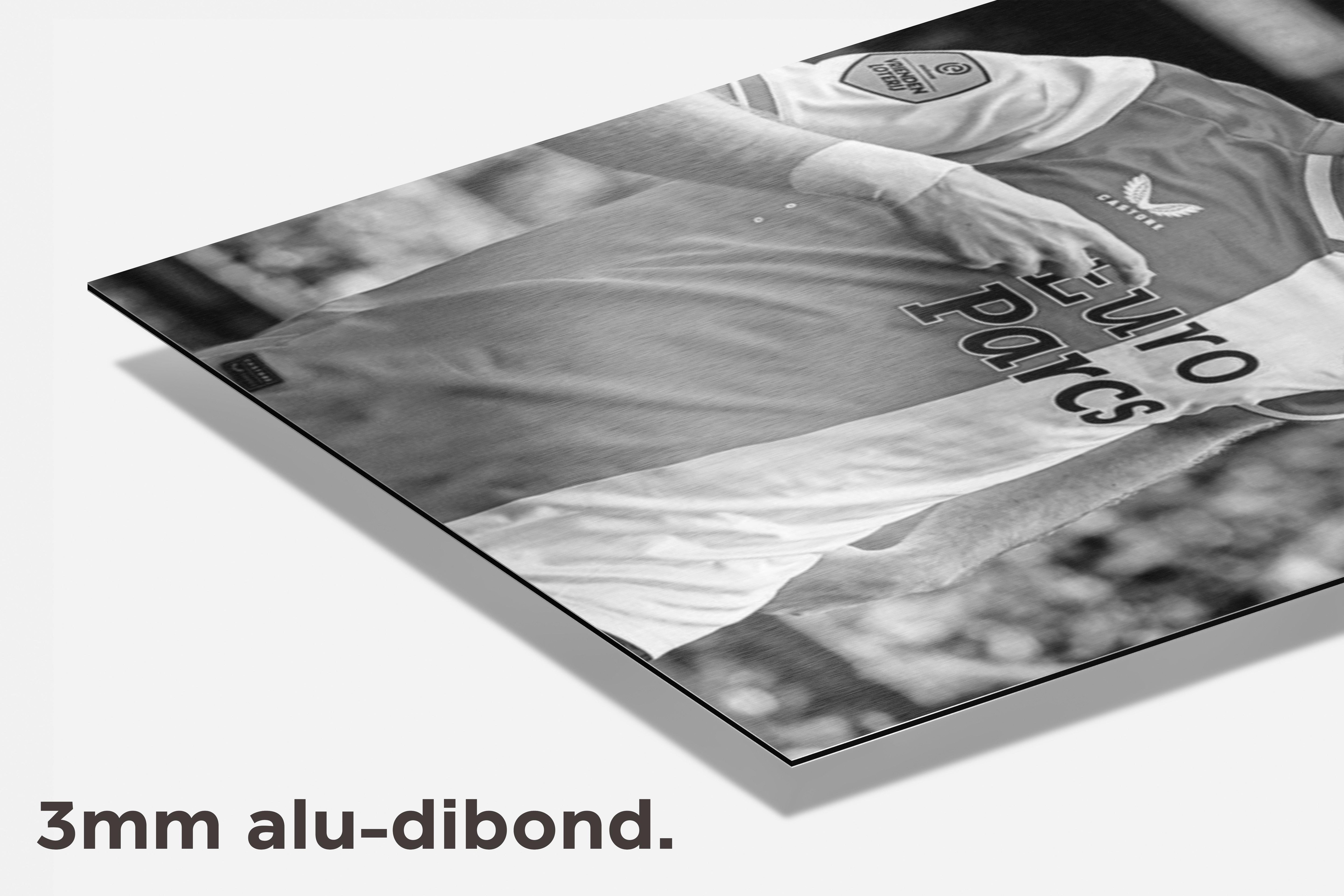 Santiago Gimenez dibond detail