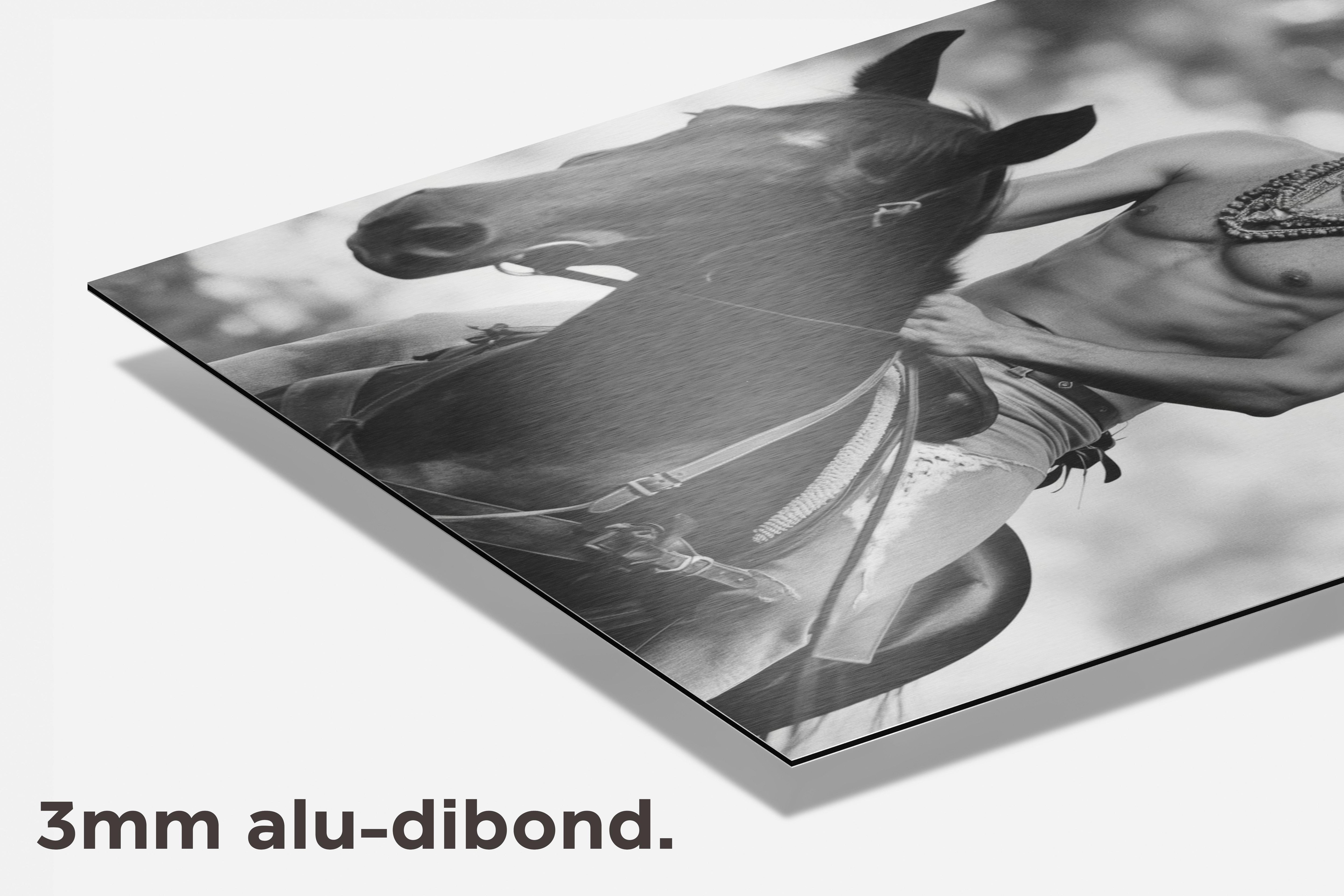 Prince te Paard dibond detail