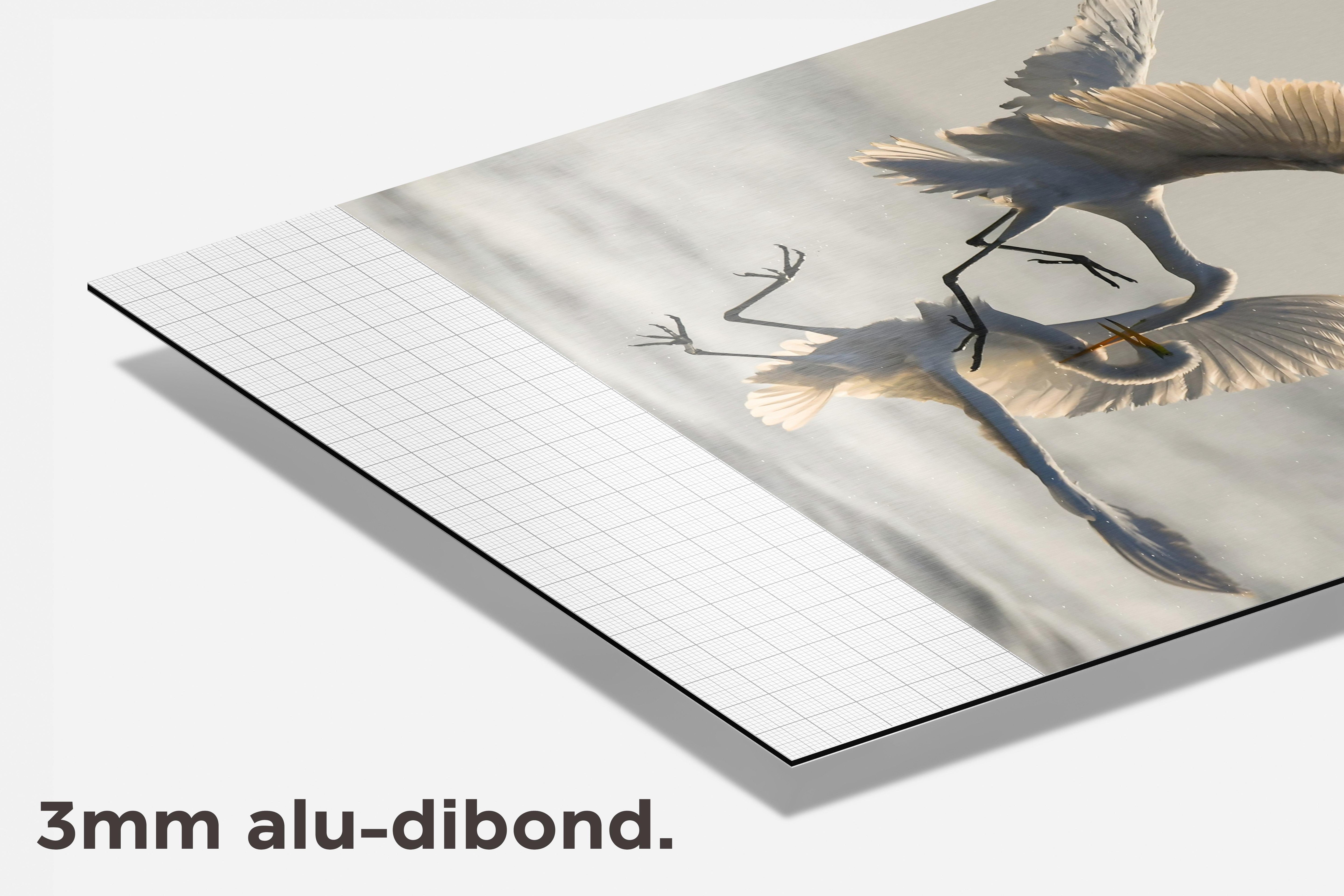 Vogels Gevecht dibond detail