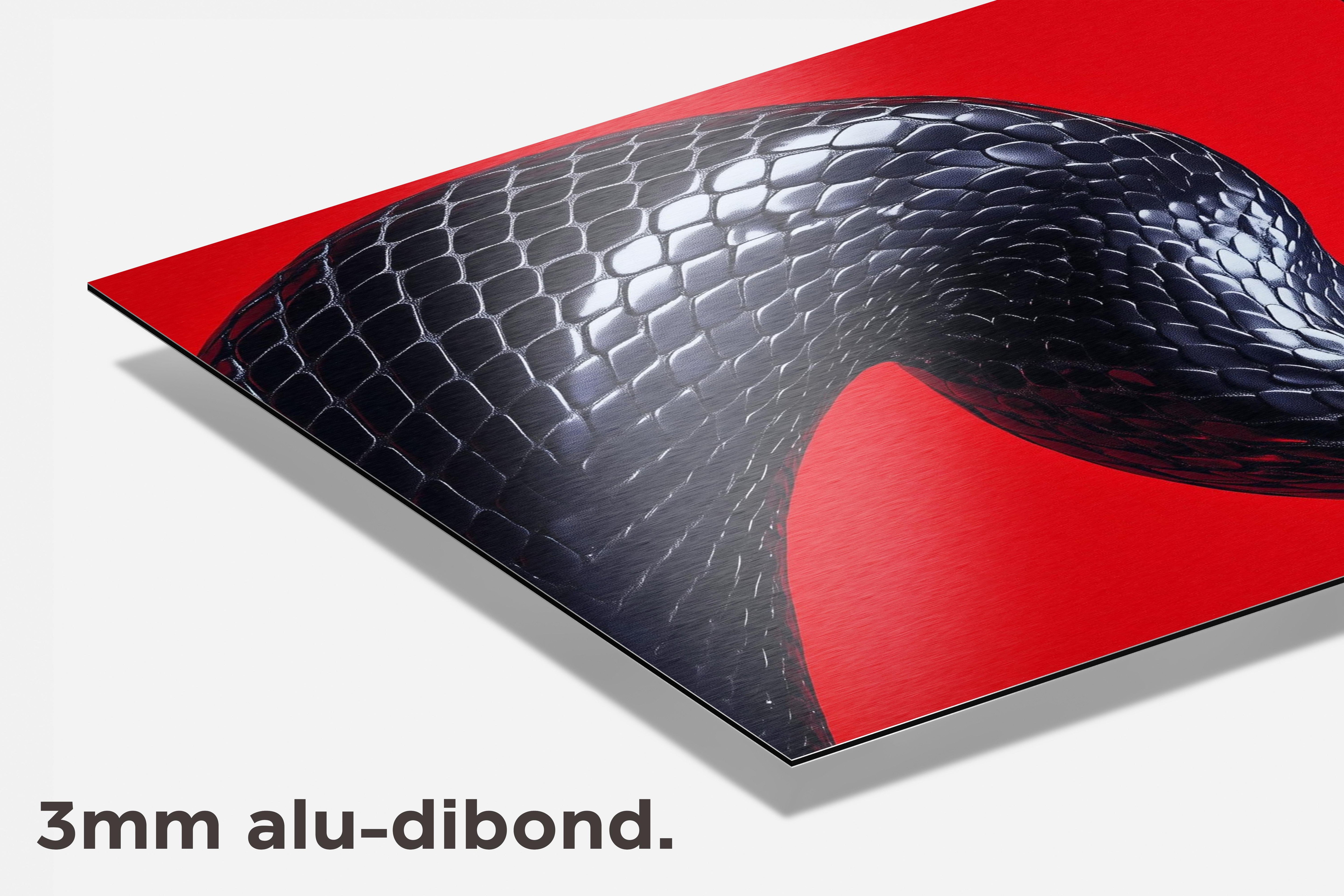 Zwarte Slang dibond detail