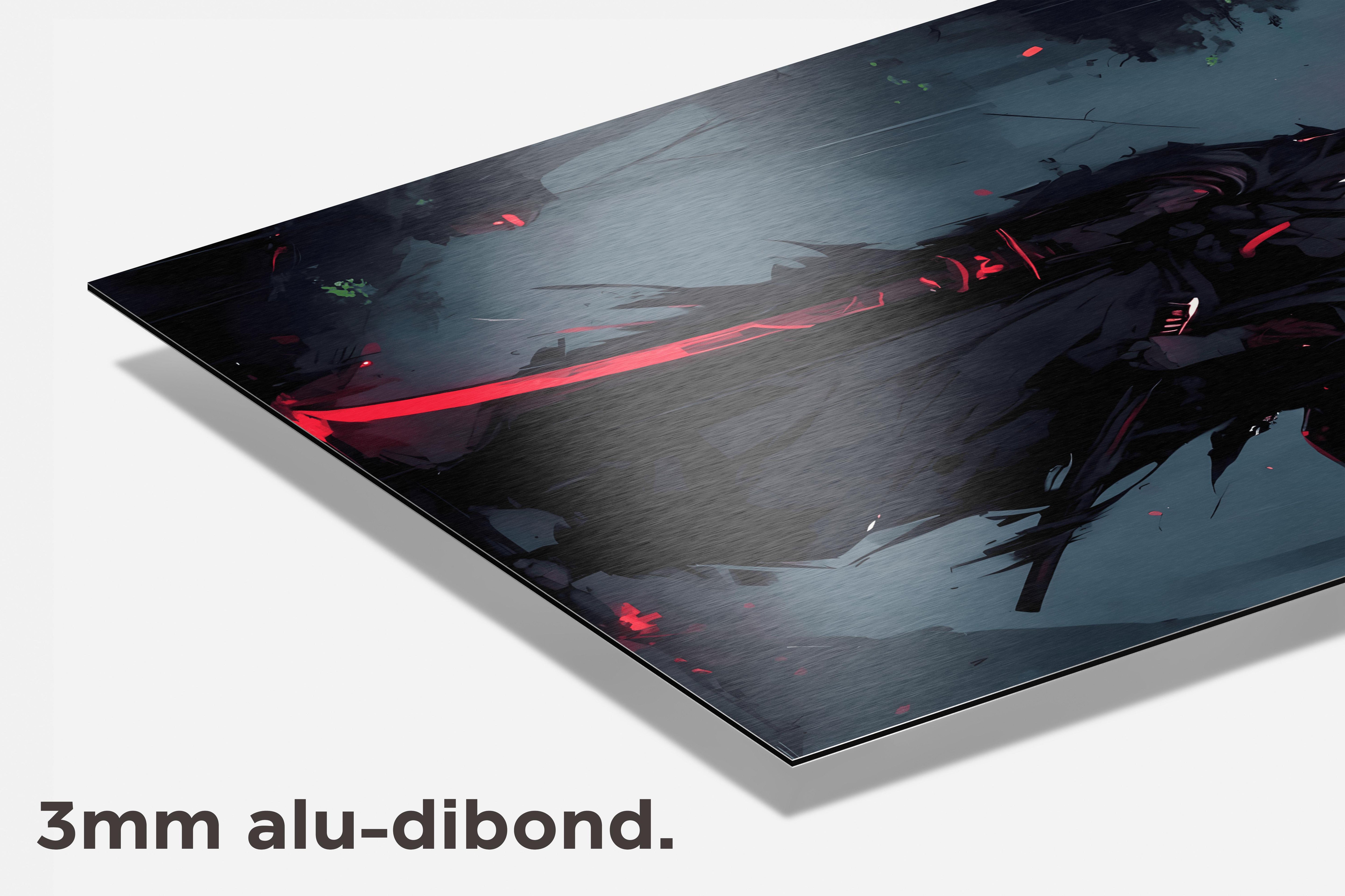 Rode Ninja dibond detail