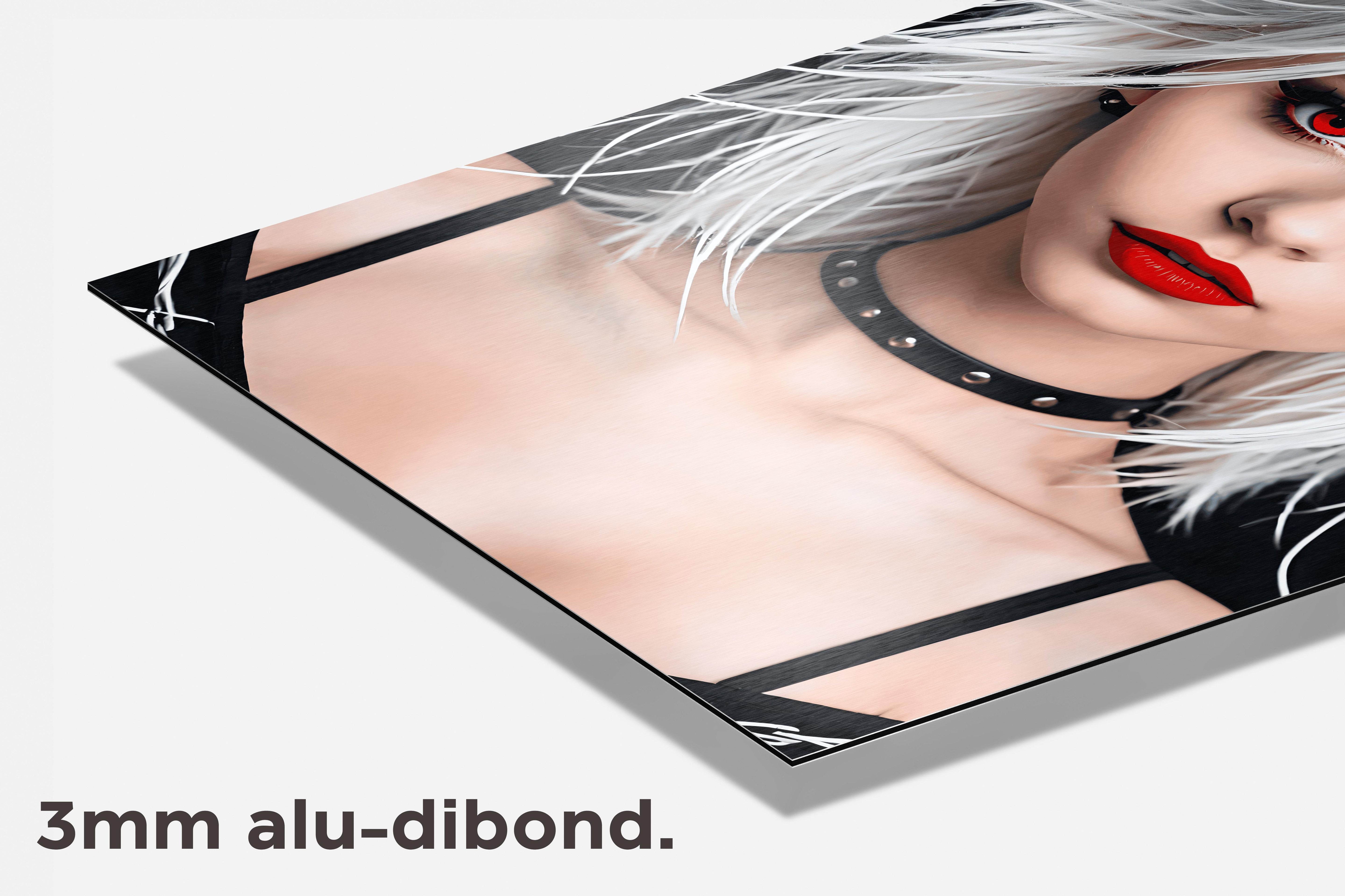 Prikkeldraadmeisje dibond detail
