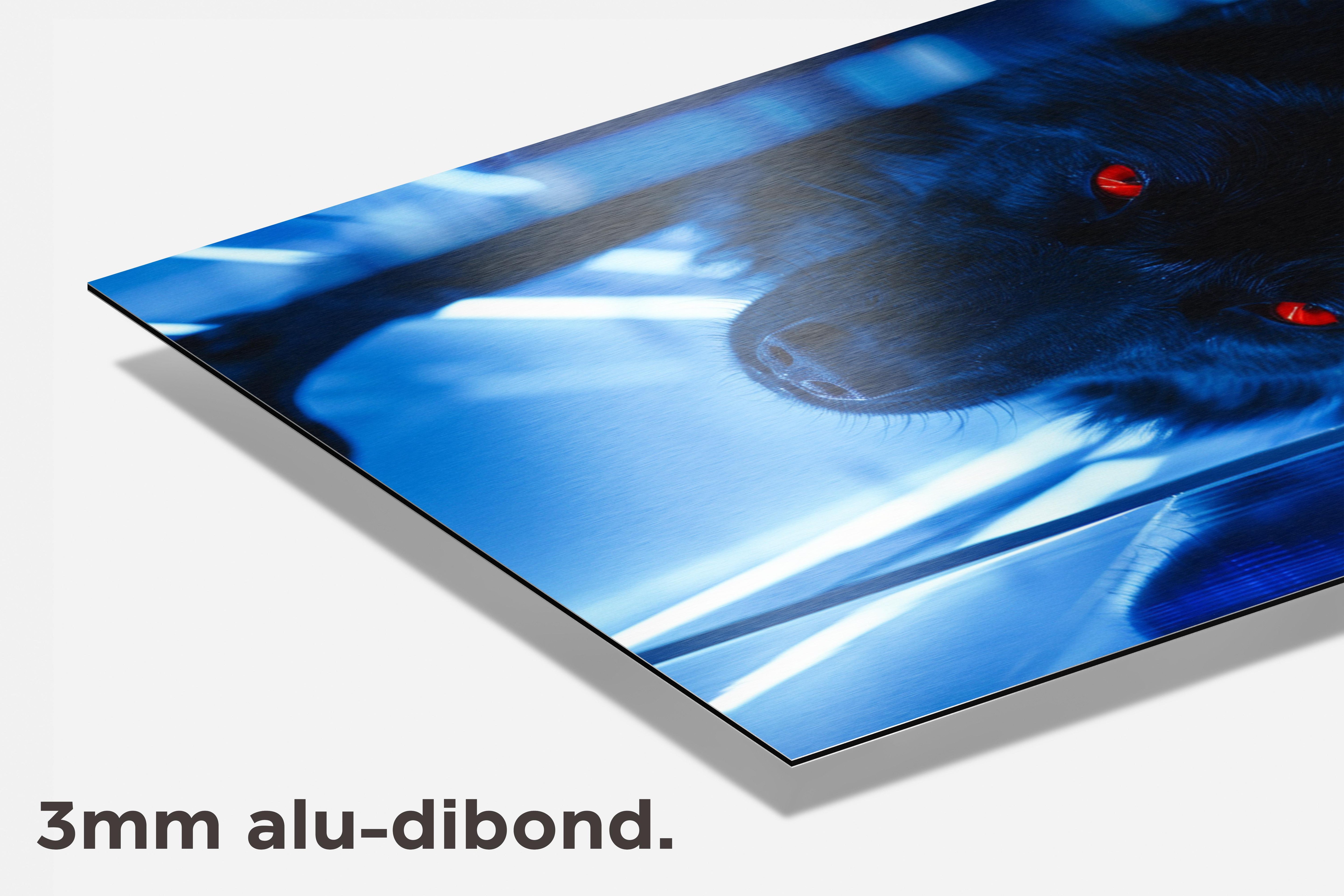 Zwarte Wolf dibond detail