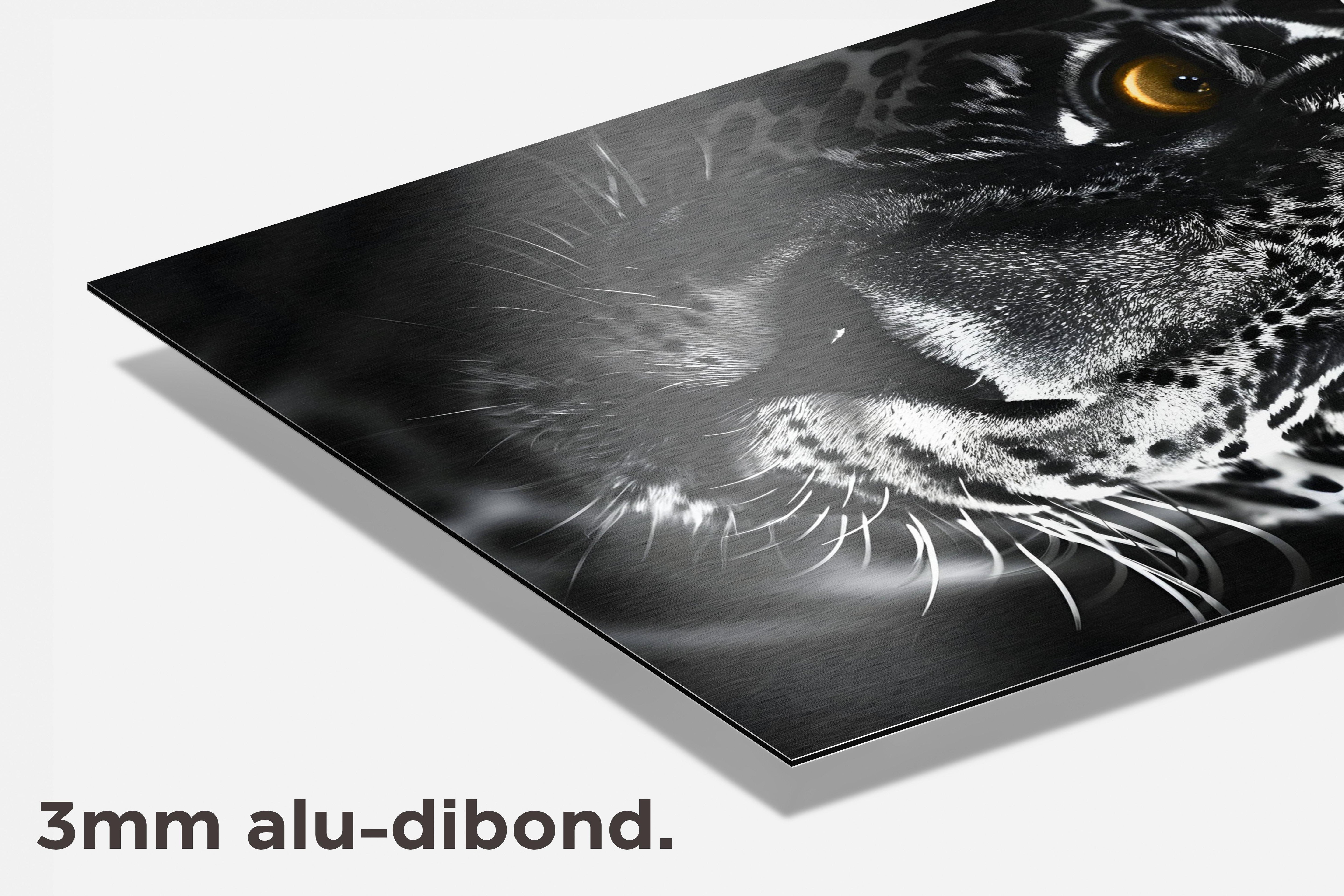 Jaguar Close-Up dibond detail