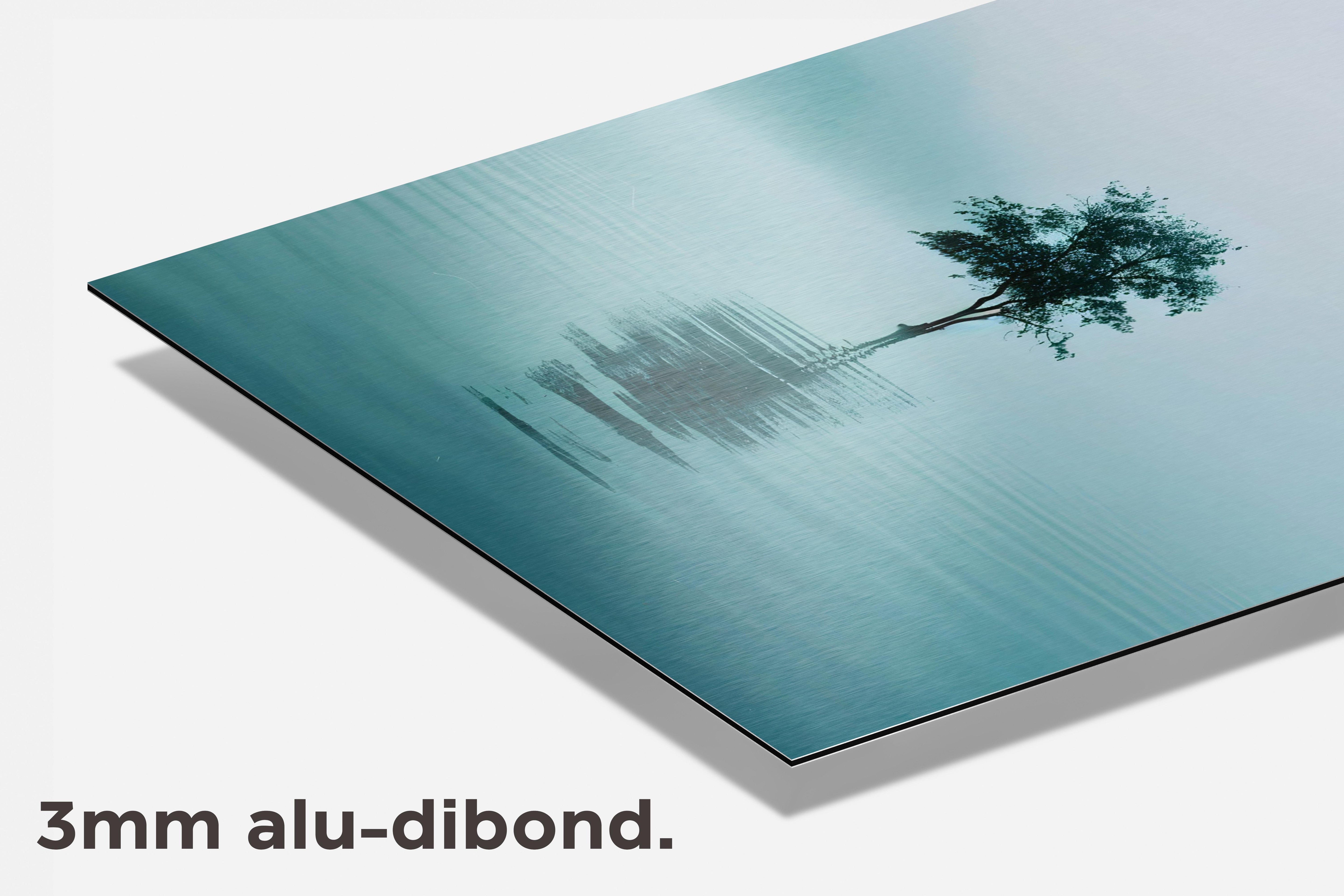 Zee Boom dibond detail