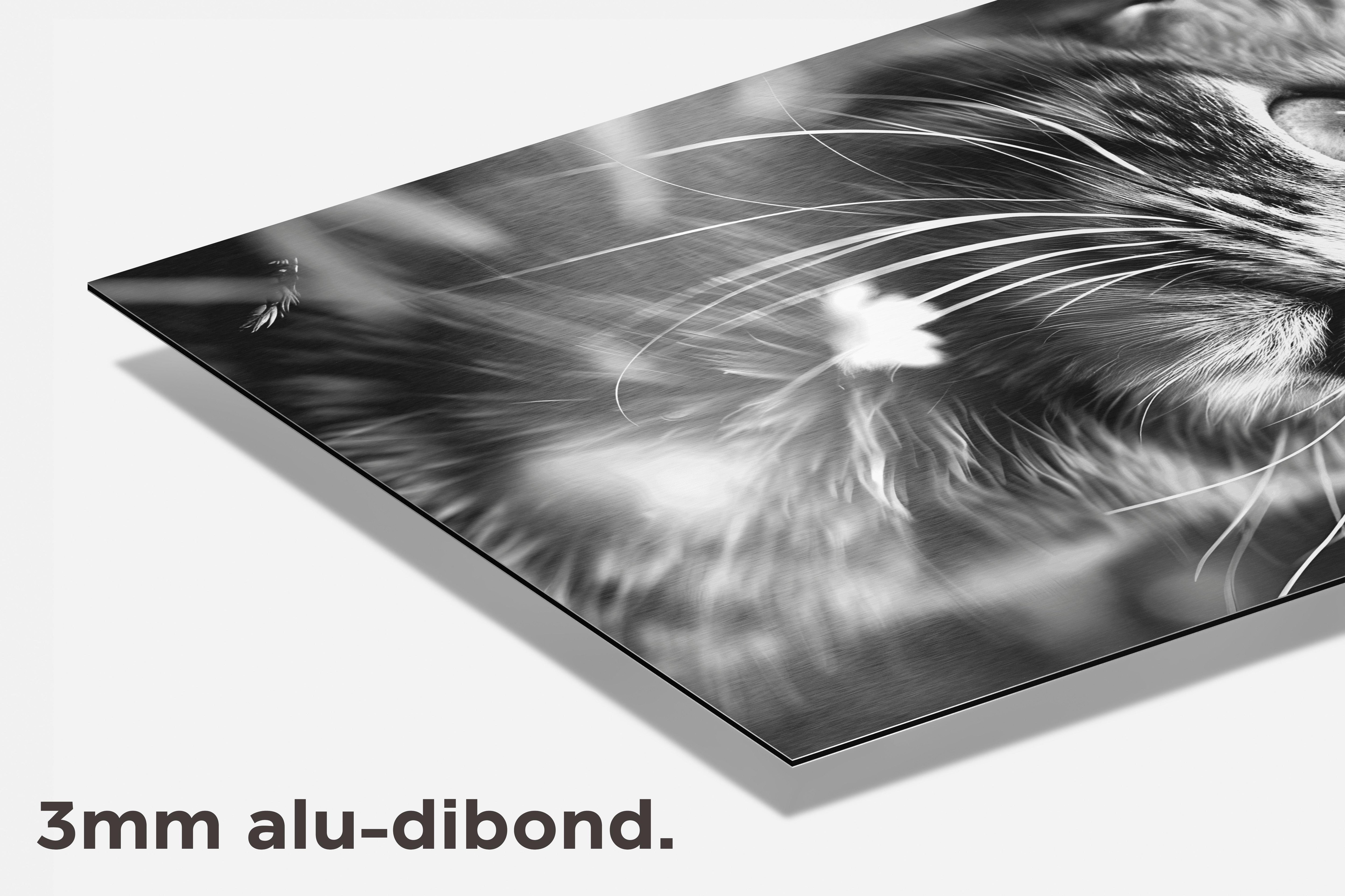 Kat dibond detail