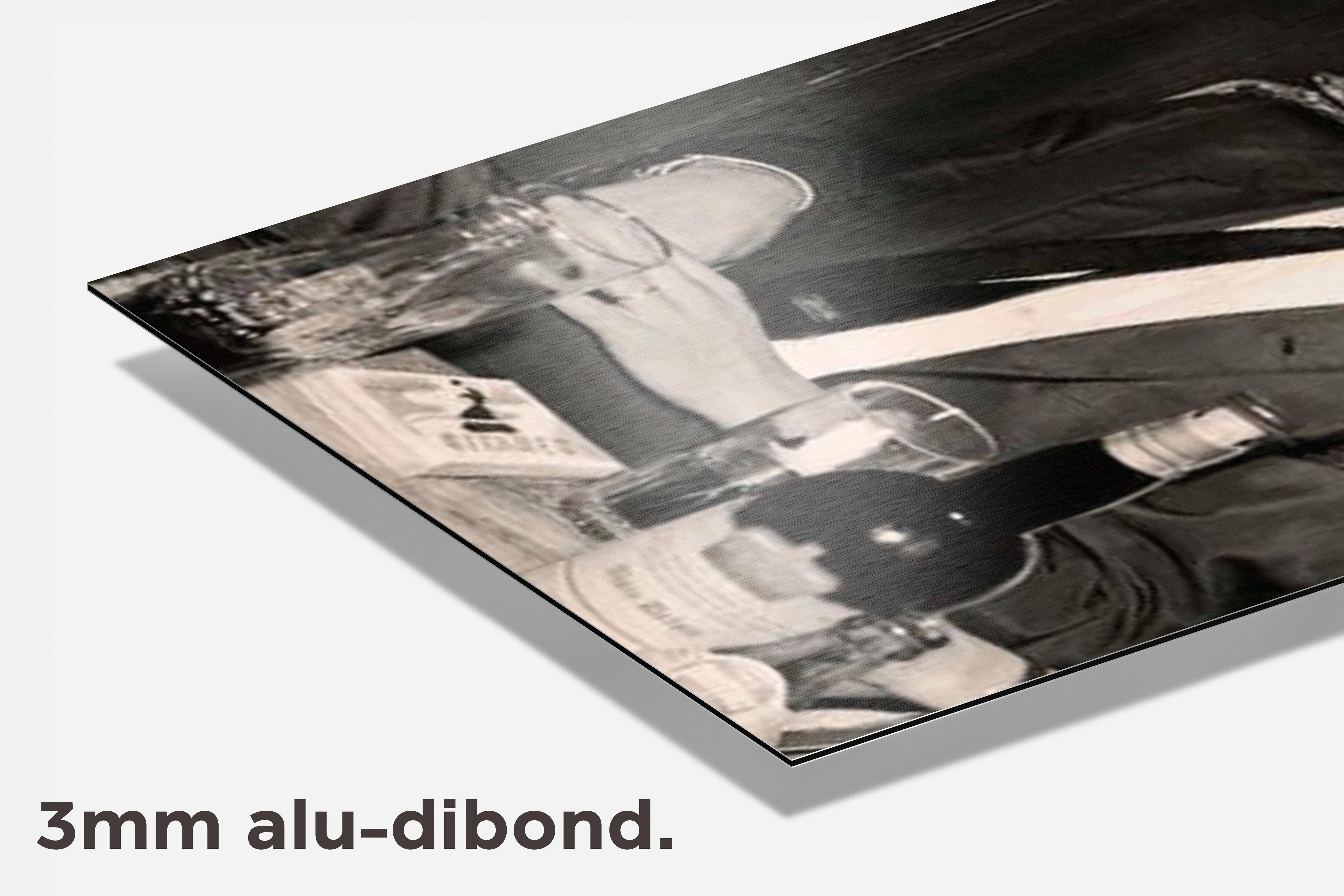 Alain Delon dibond detail