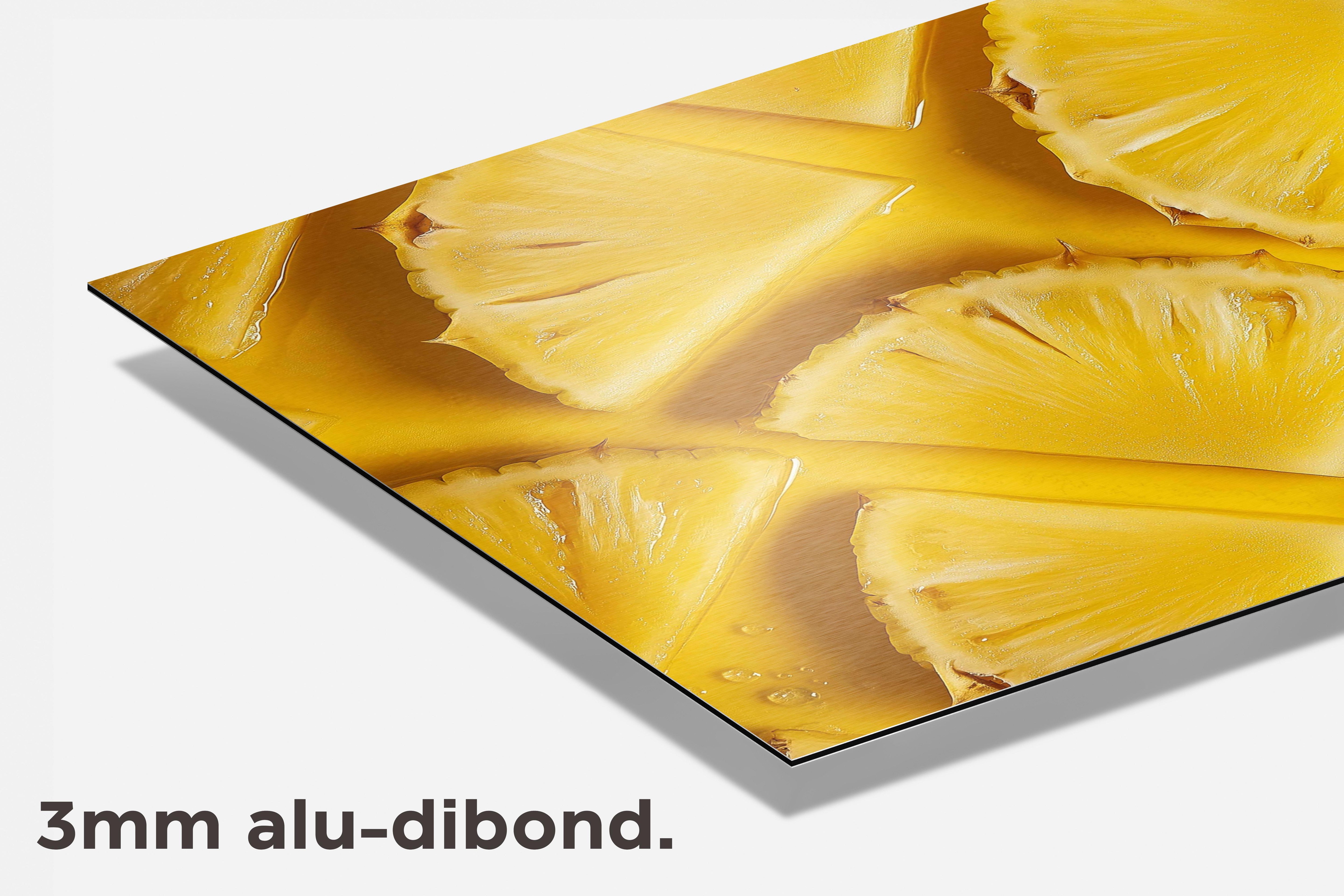 Ananas dibond detail