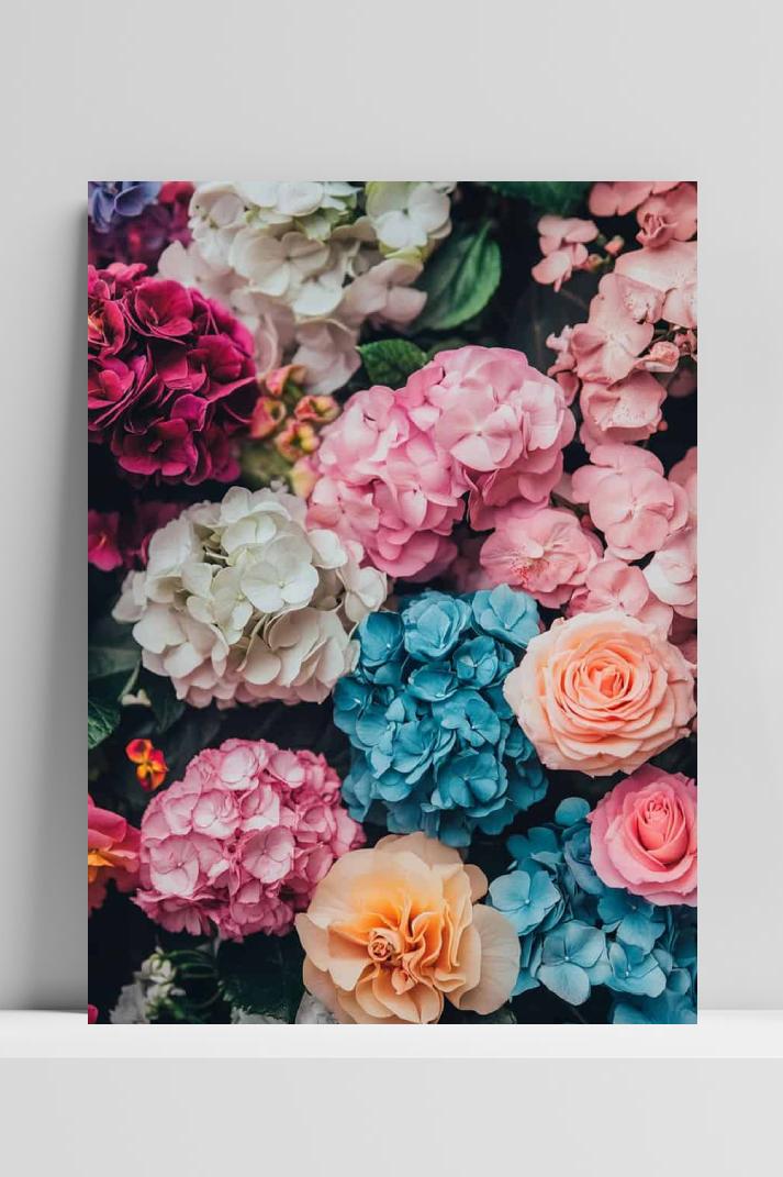Kleurrijke Bloemen op 3mm aluminium dibond
