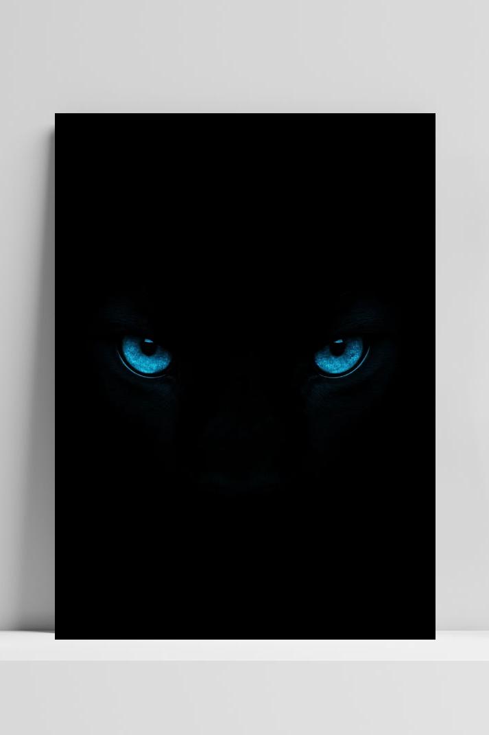 Eyes Animal Minimalist in interieur