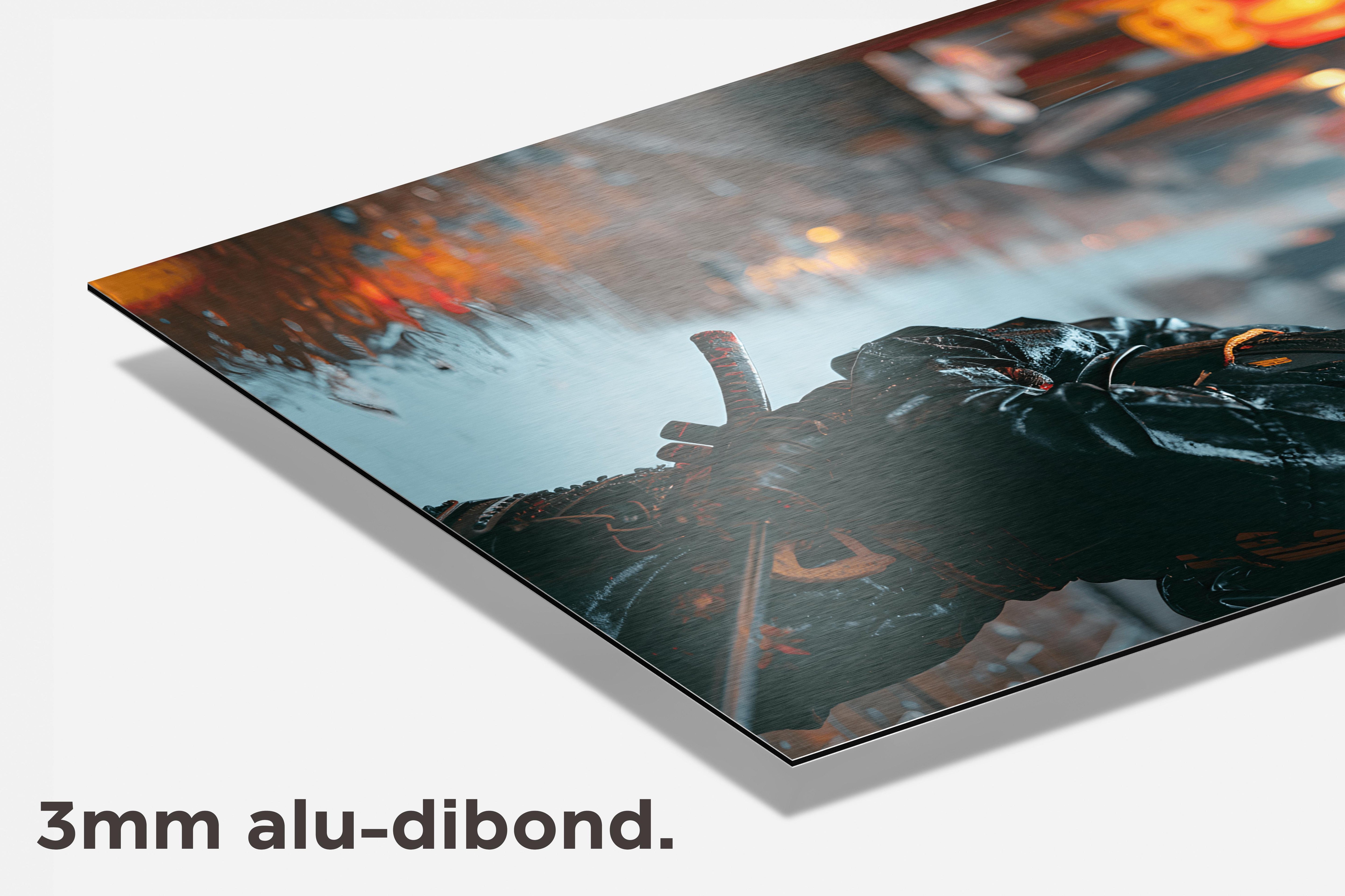 Vrouwelijke Samurai dibond detail