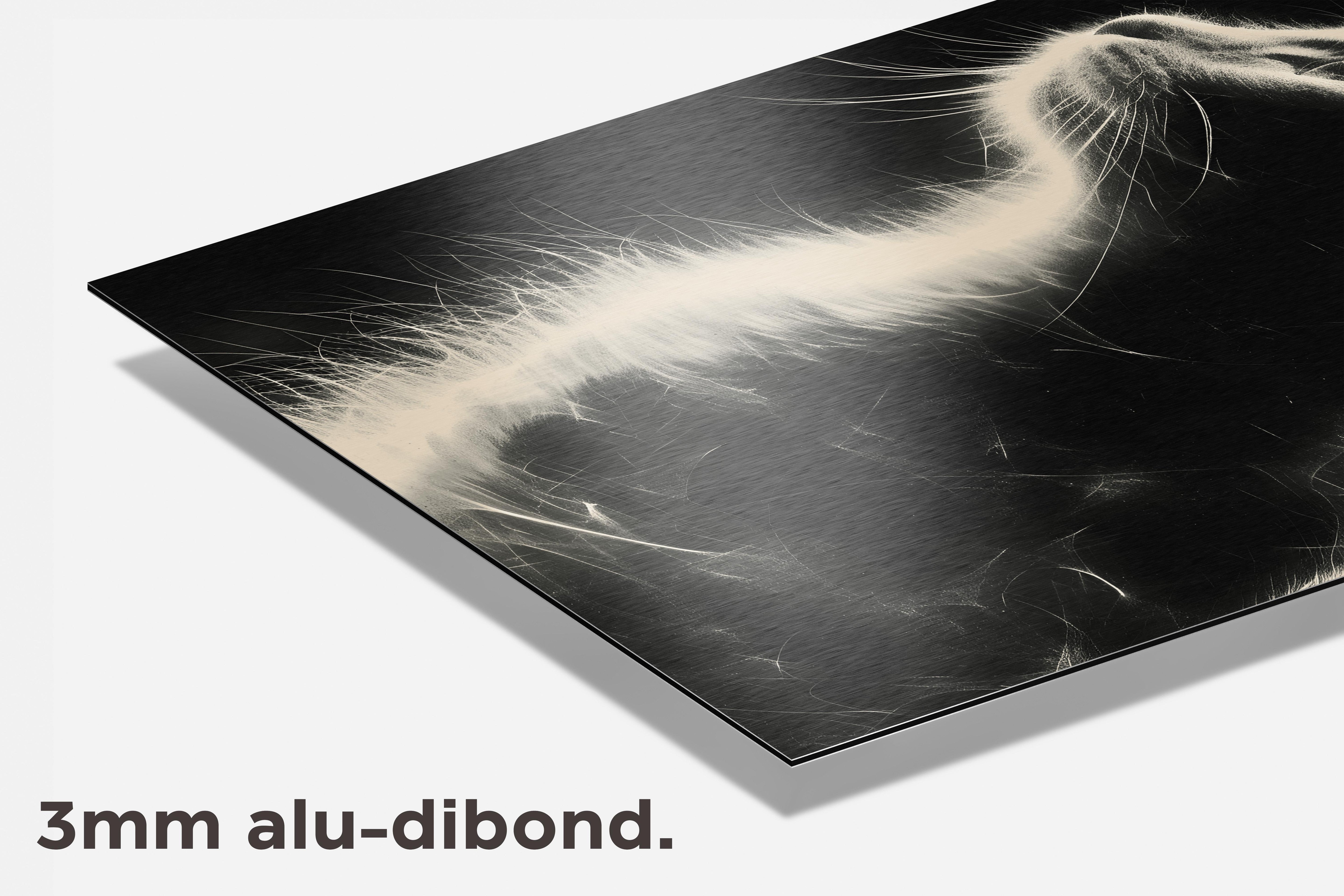 Kat Zwart Wit dibond detail