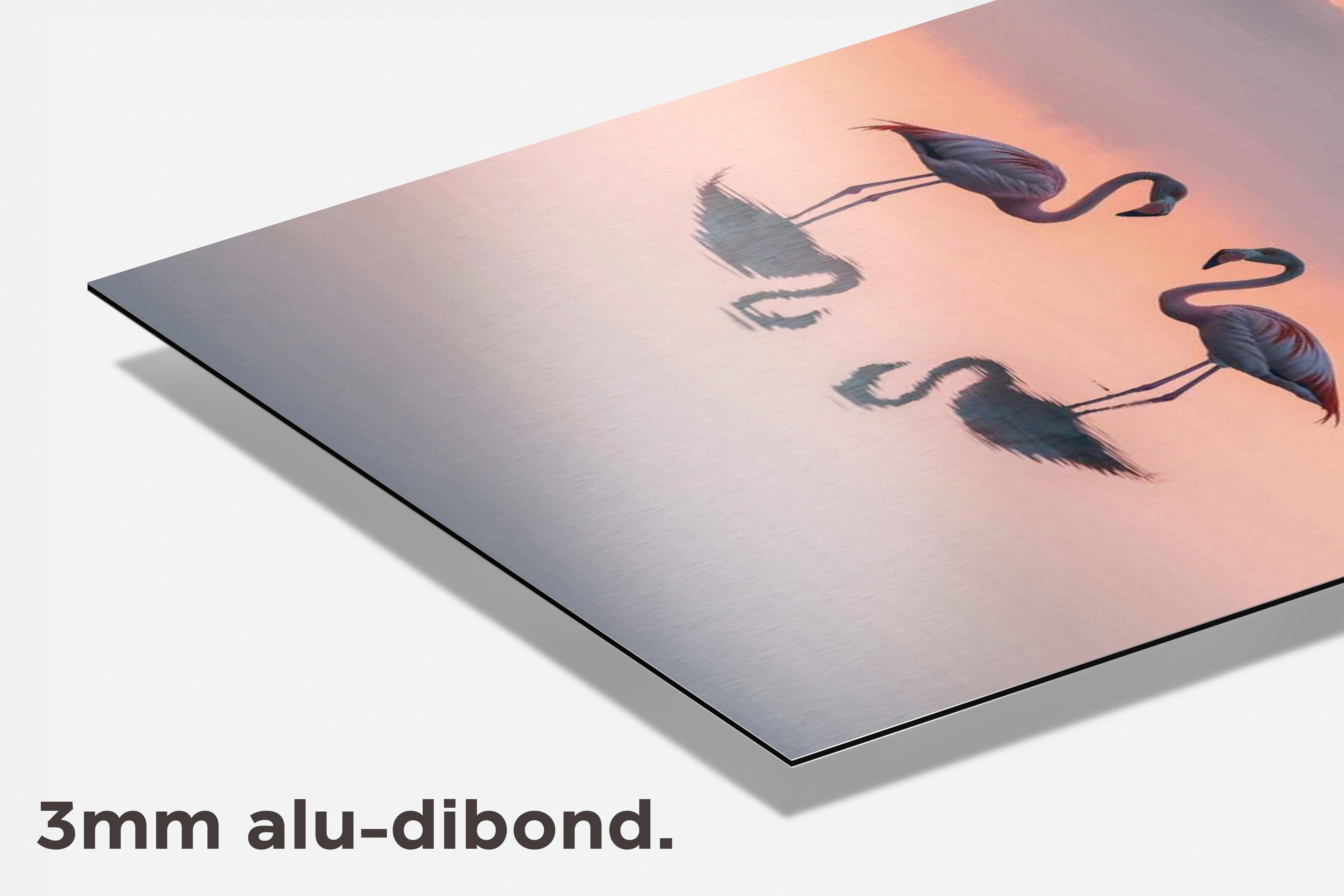 Flamingo's dibond detail