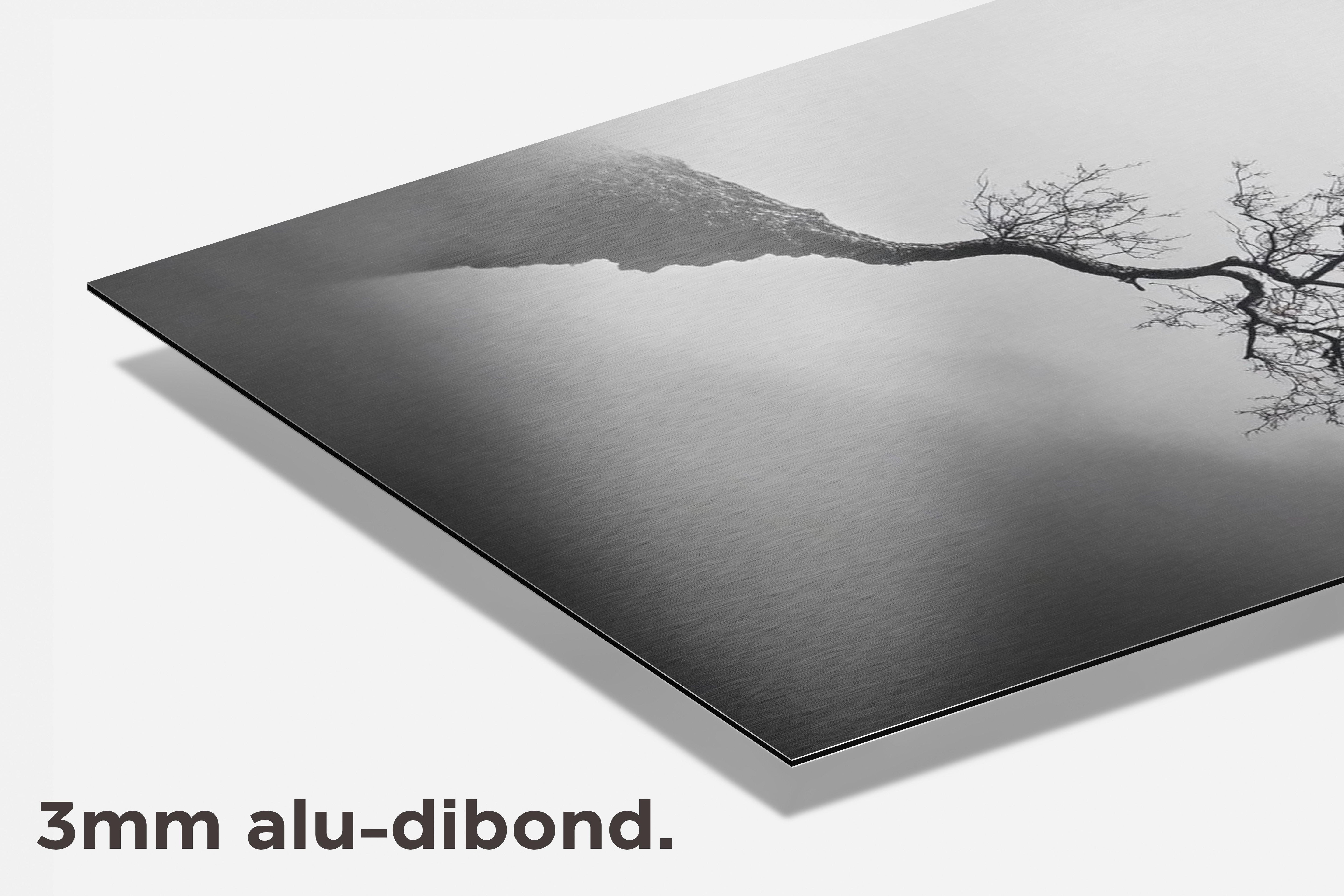 Rijzende Boom dibond detail