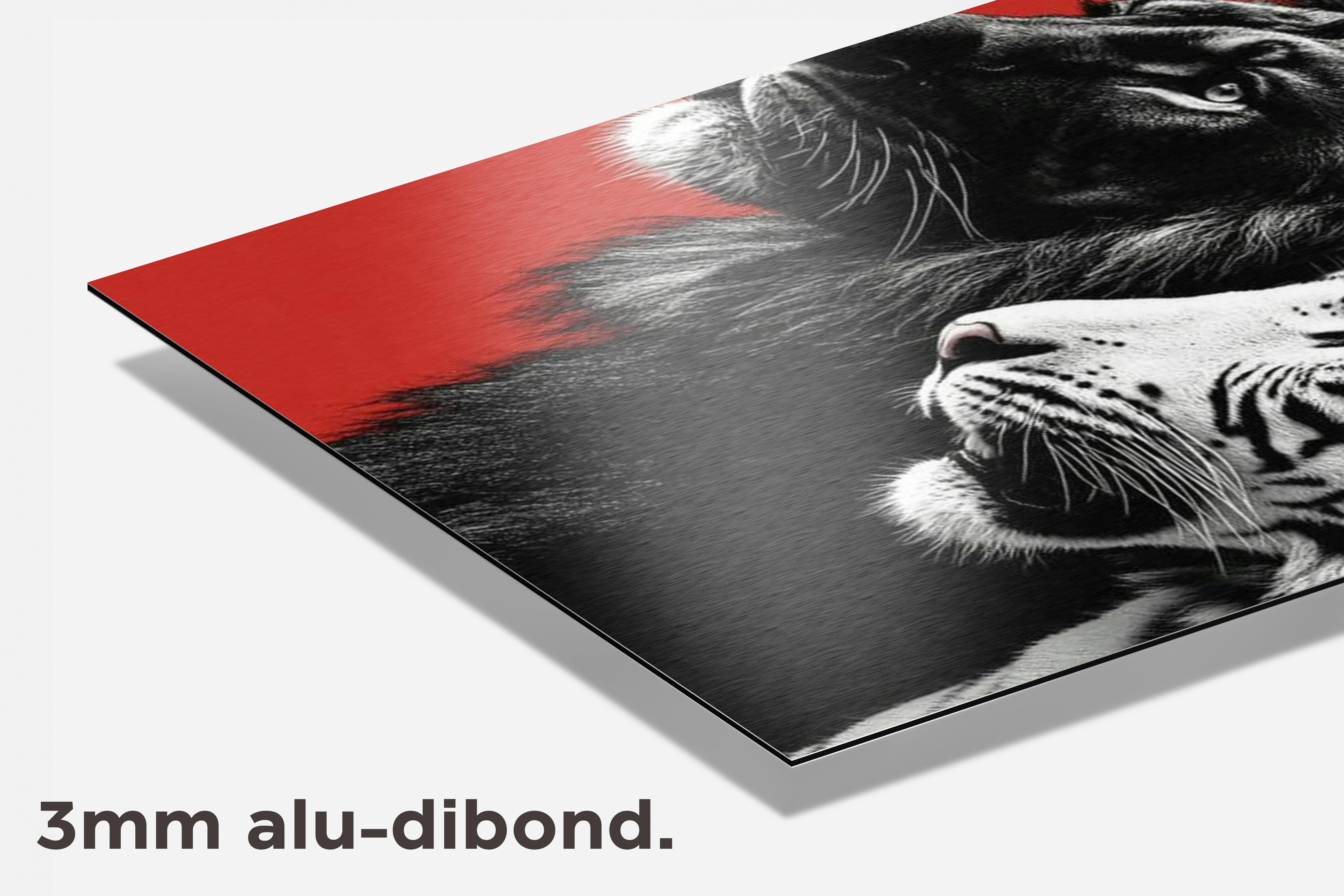 Leeuw en Tijger dibond detail