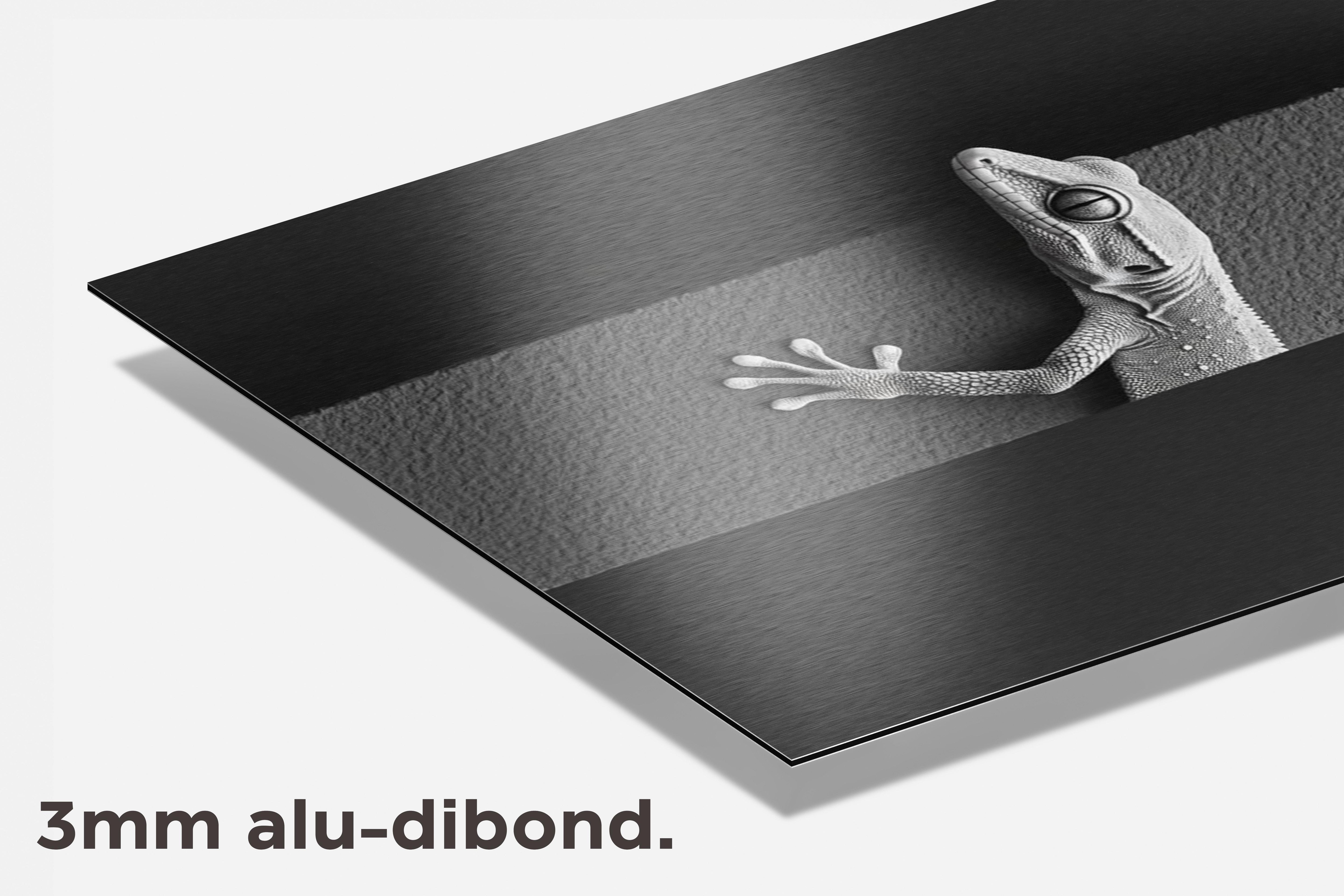 Gekko dibond detail