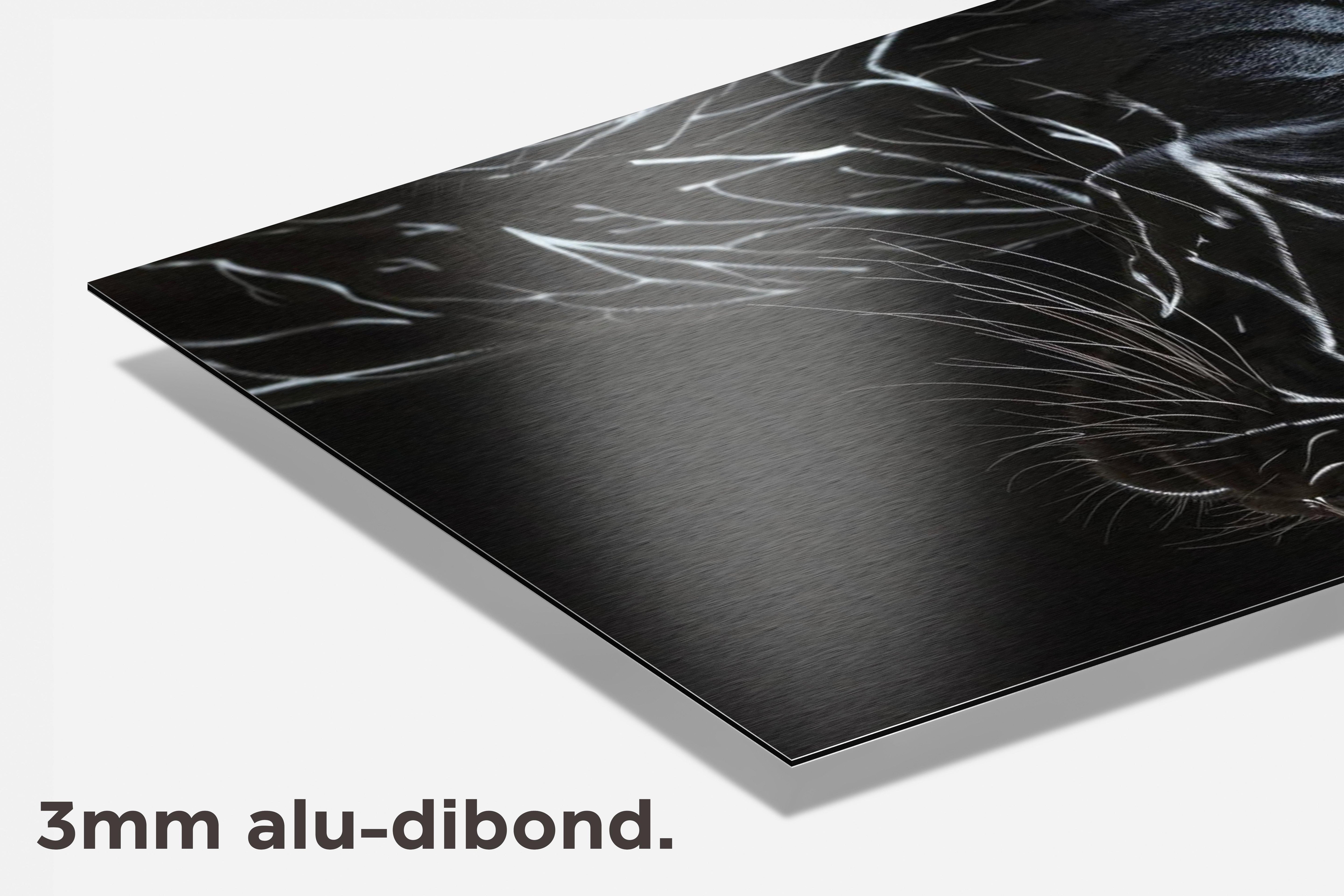Panter dibond detail