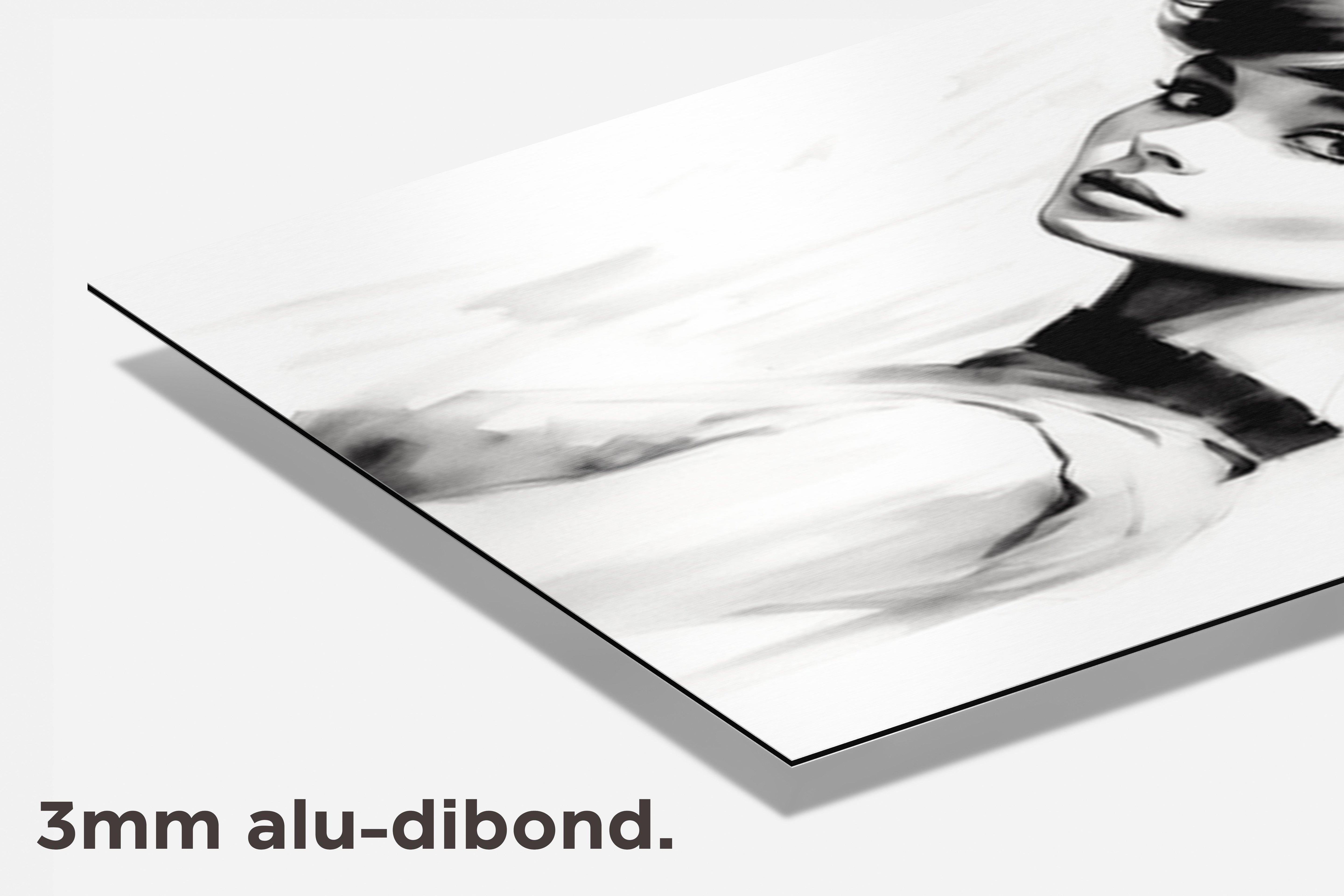 Audrey Hepburn dibond detail