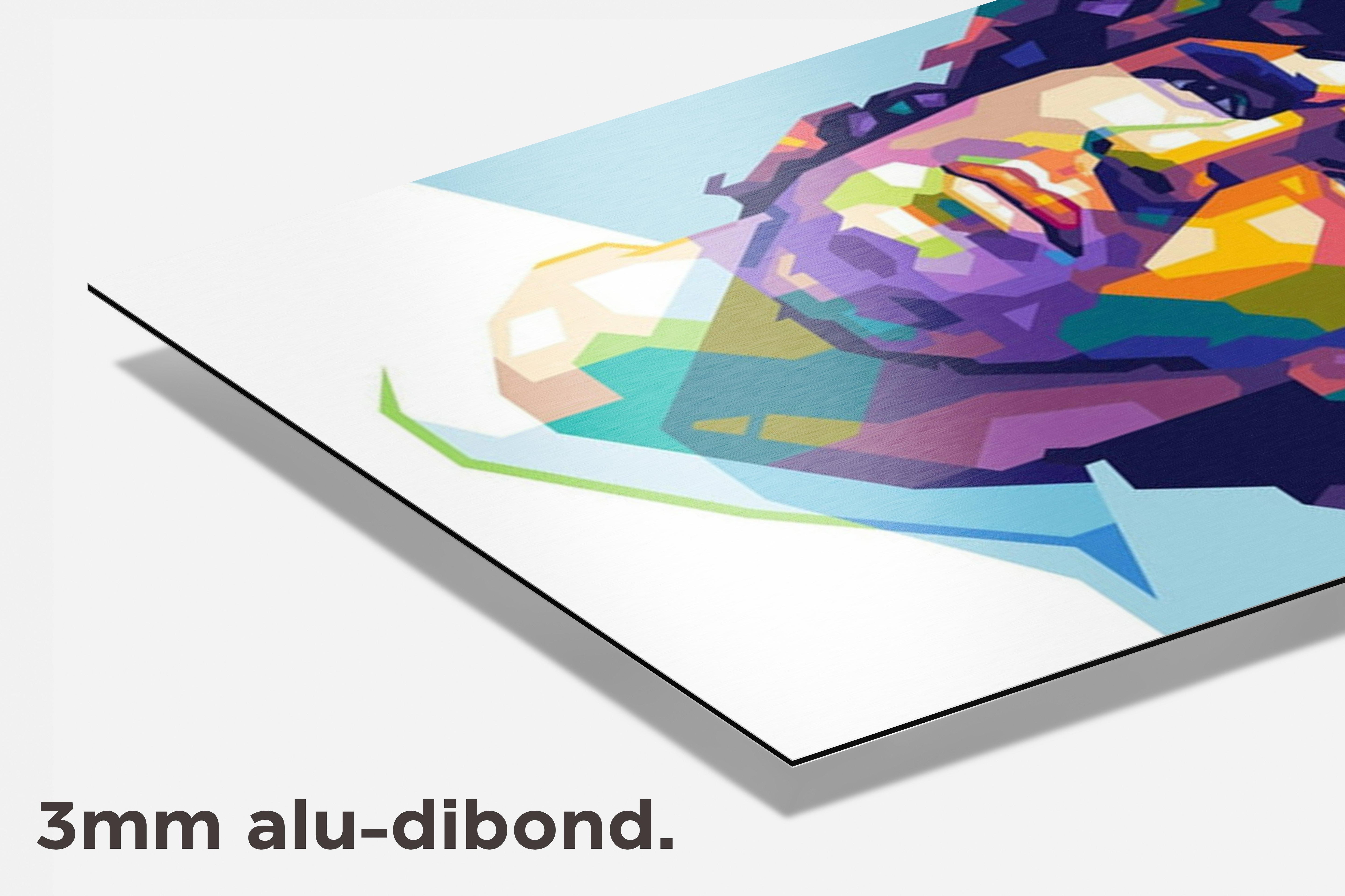 Diego Maradona dibond detail