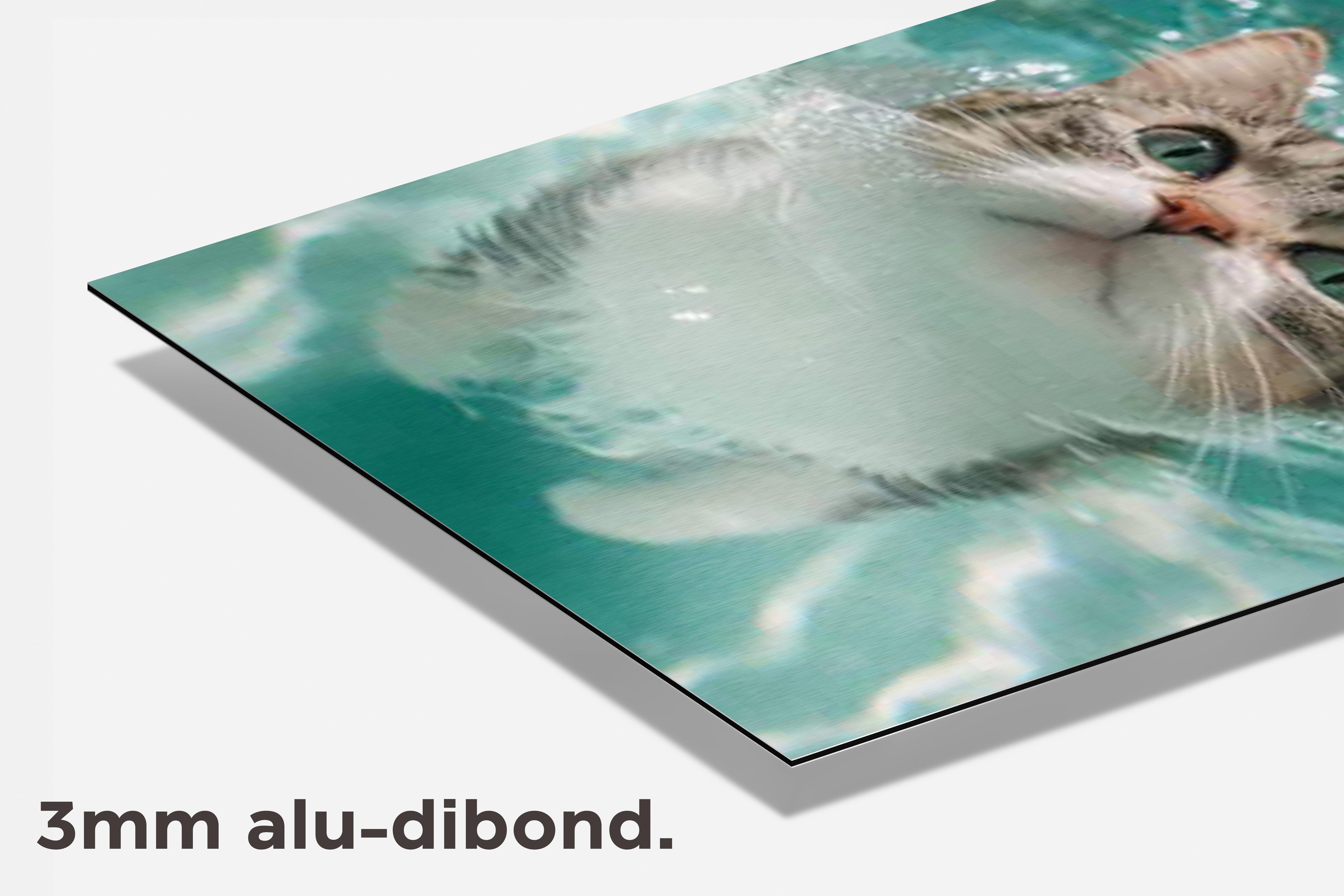Kat Zwemmen dibond detail