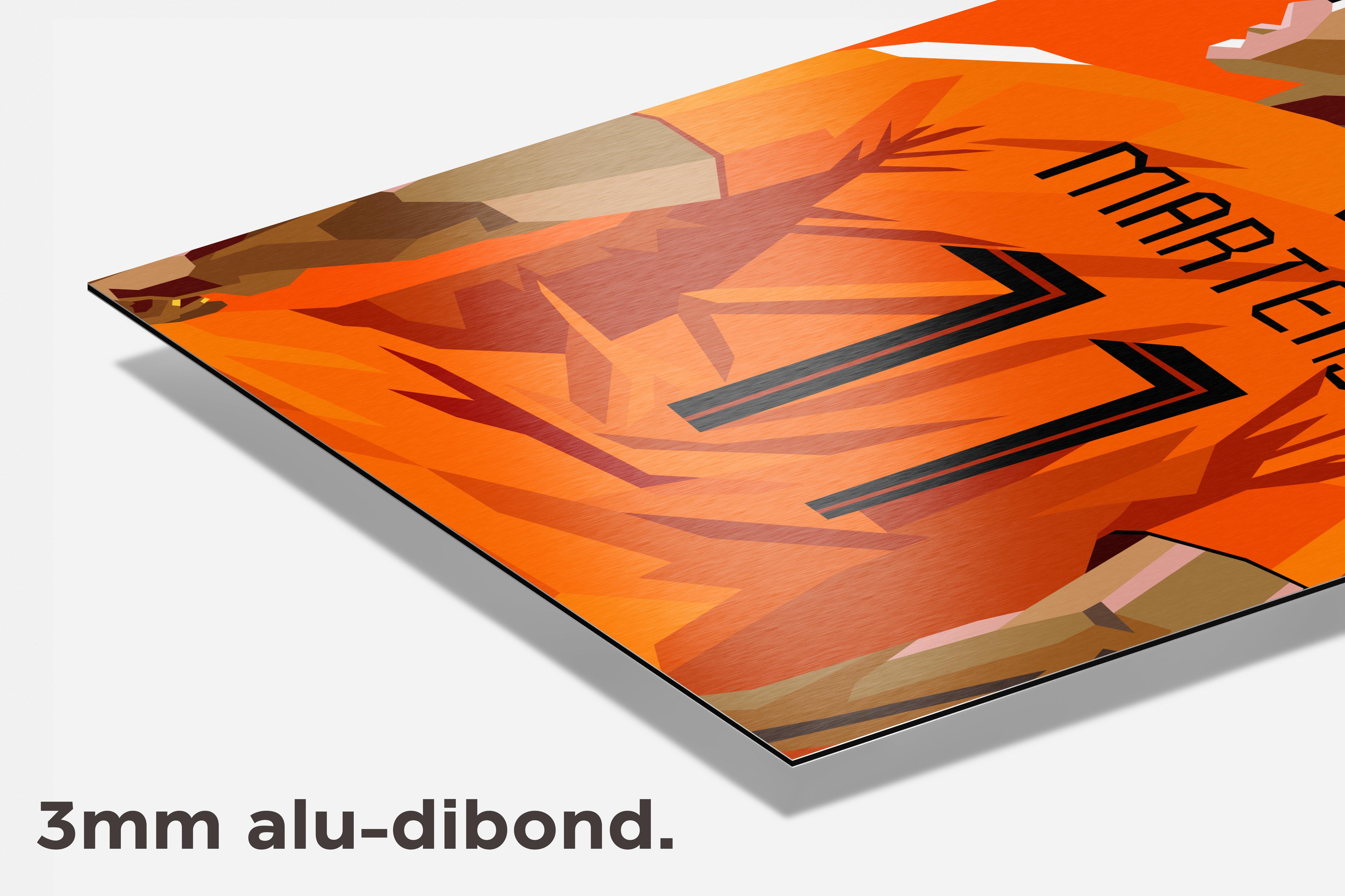 Lieke Martens Pop dibond detail