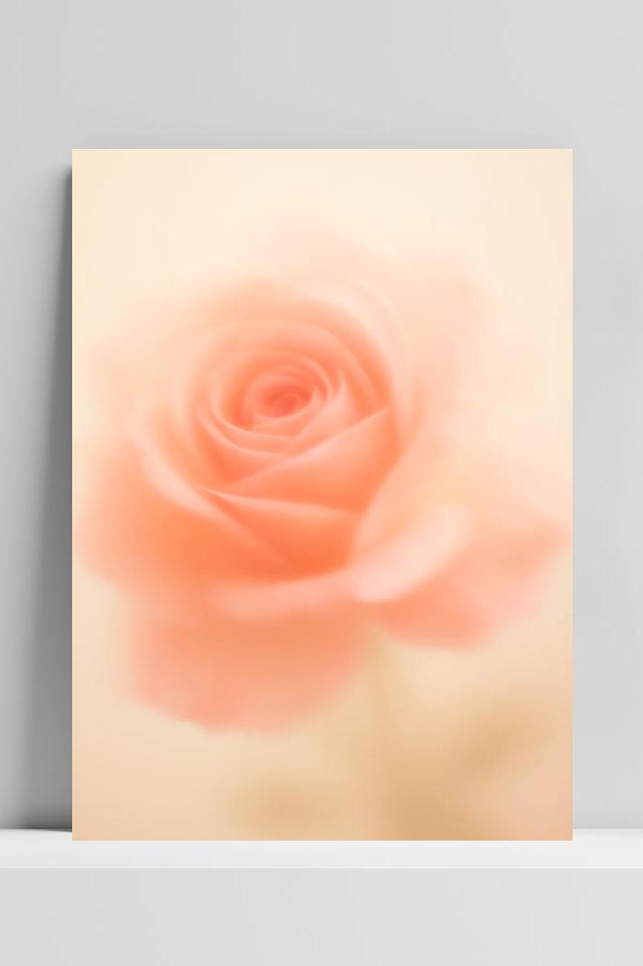 Orange Rose Blurry im Interieur