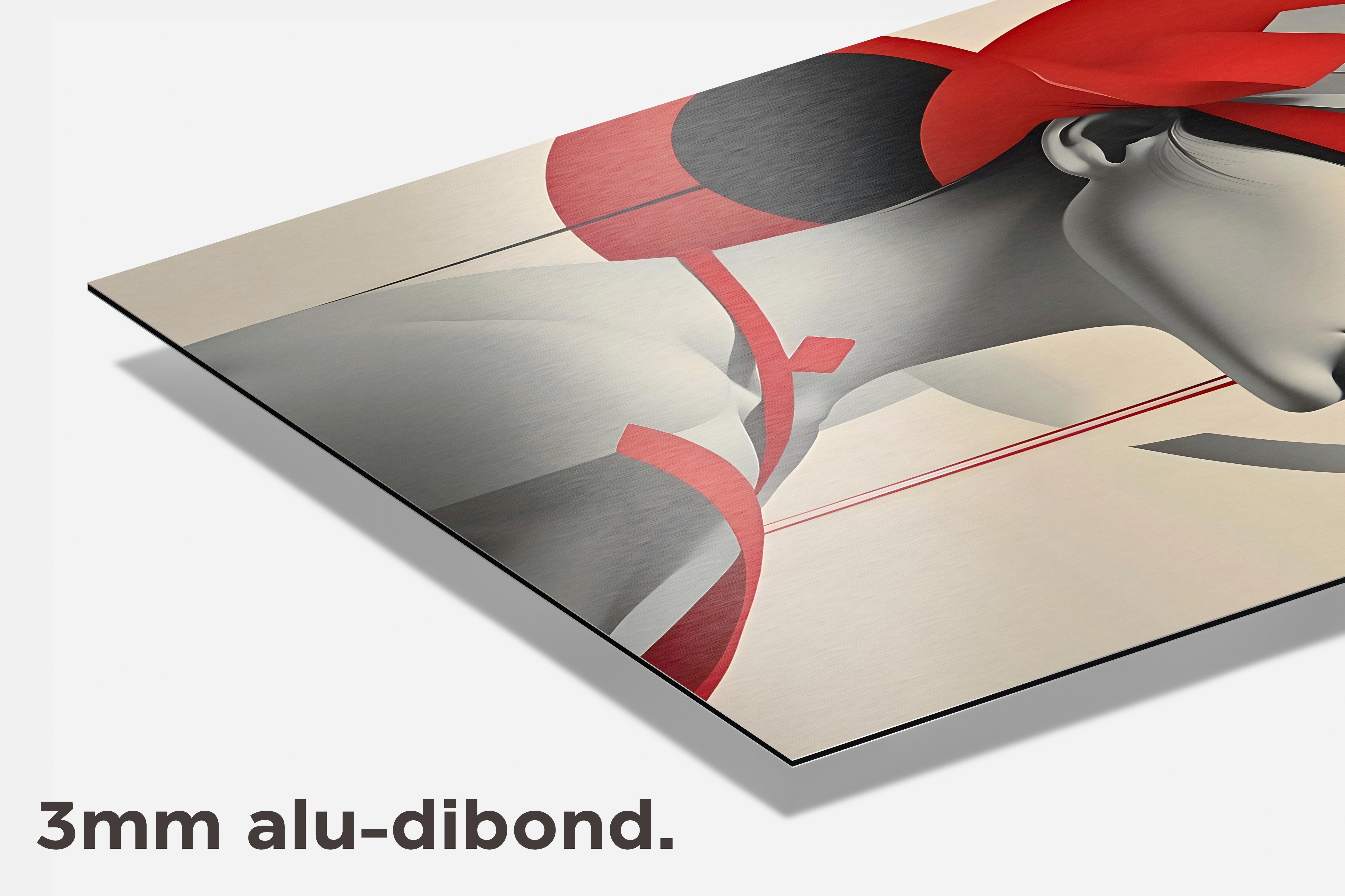 Wit Rood Kunst dibond detail