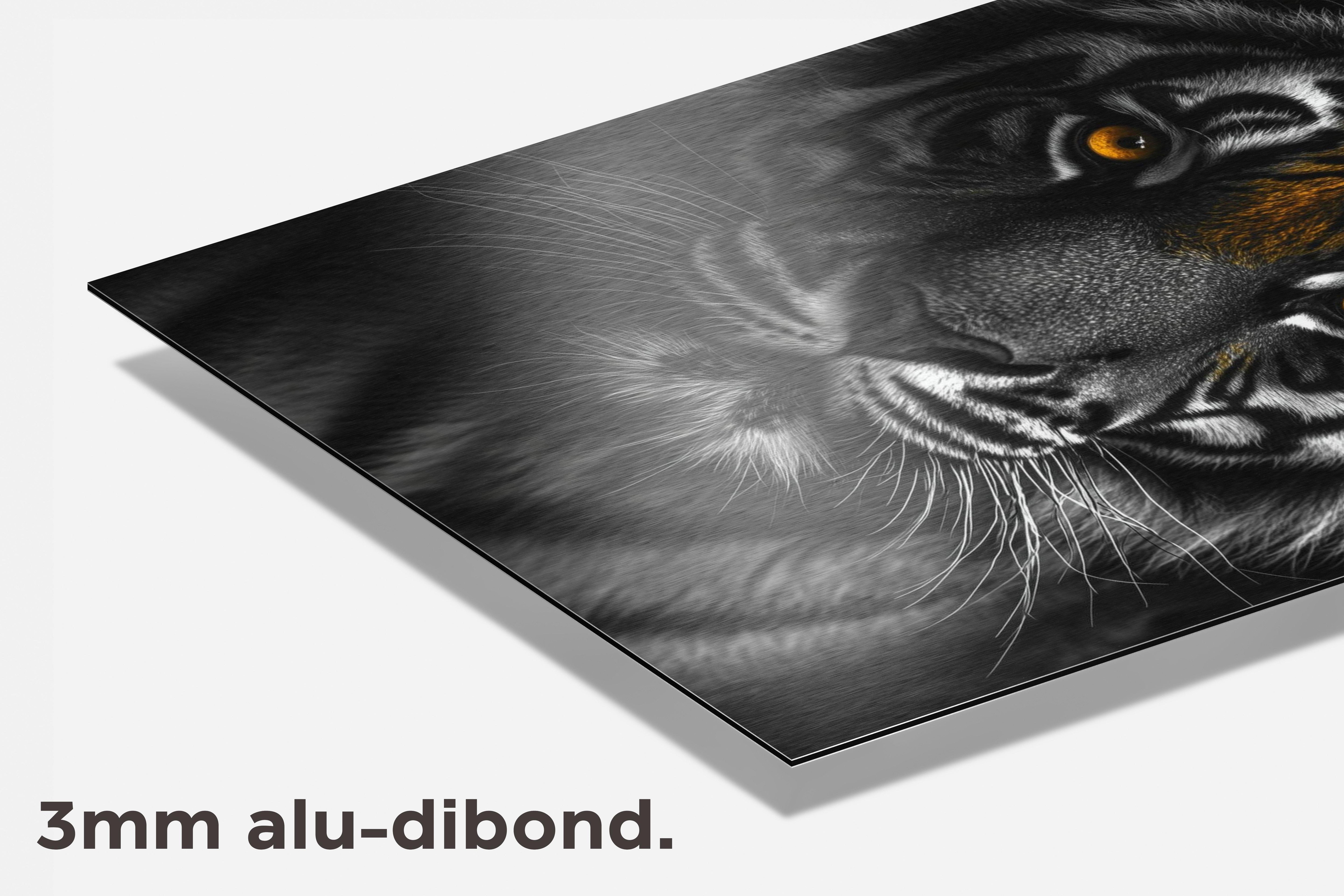 Tijger dibond detail