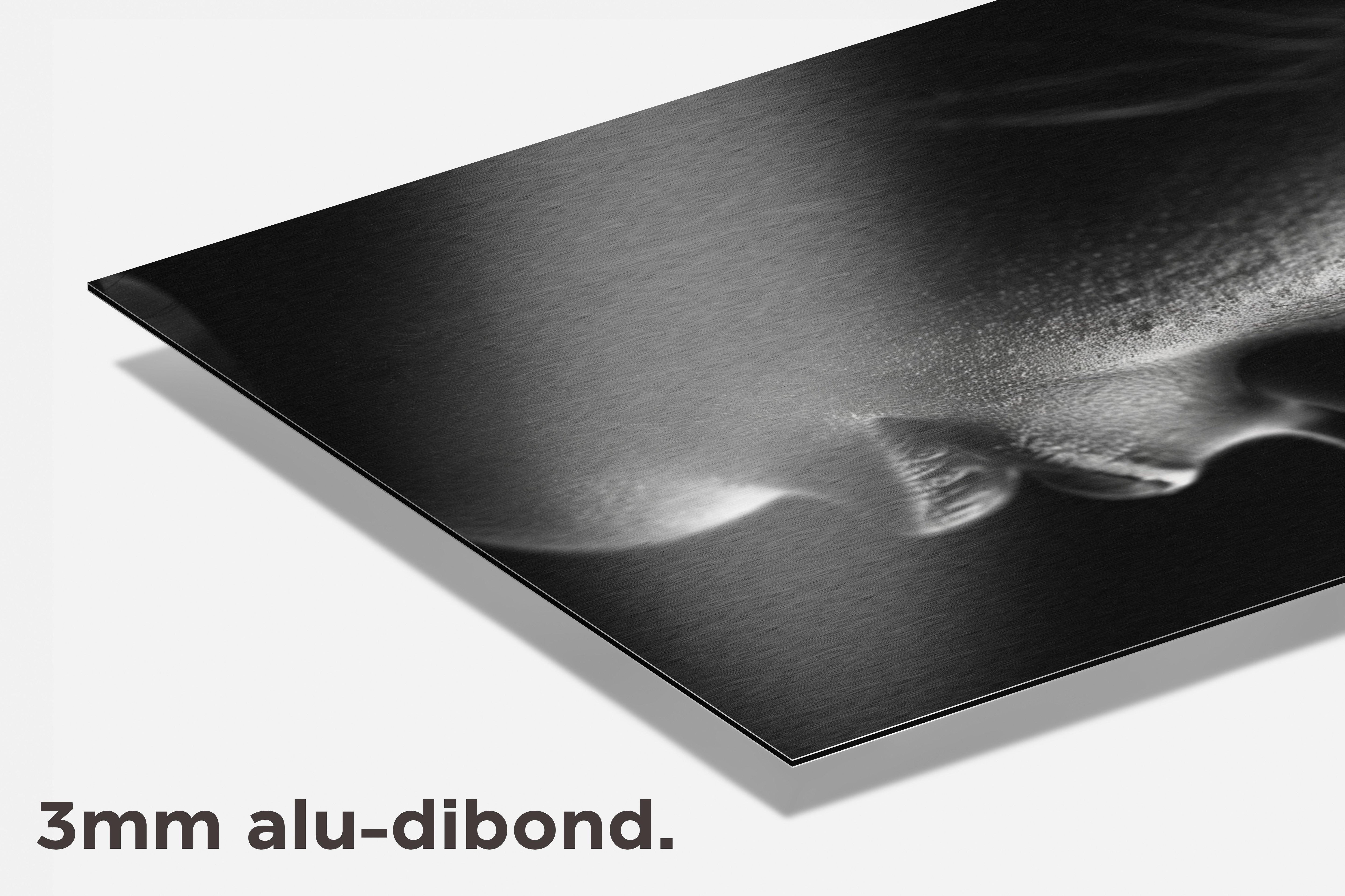 Vrouw Foto dibond detail
