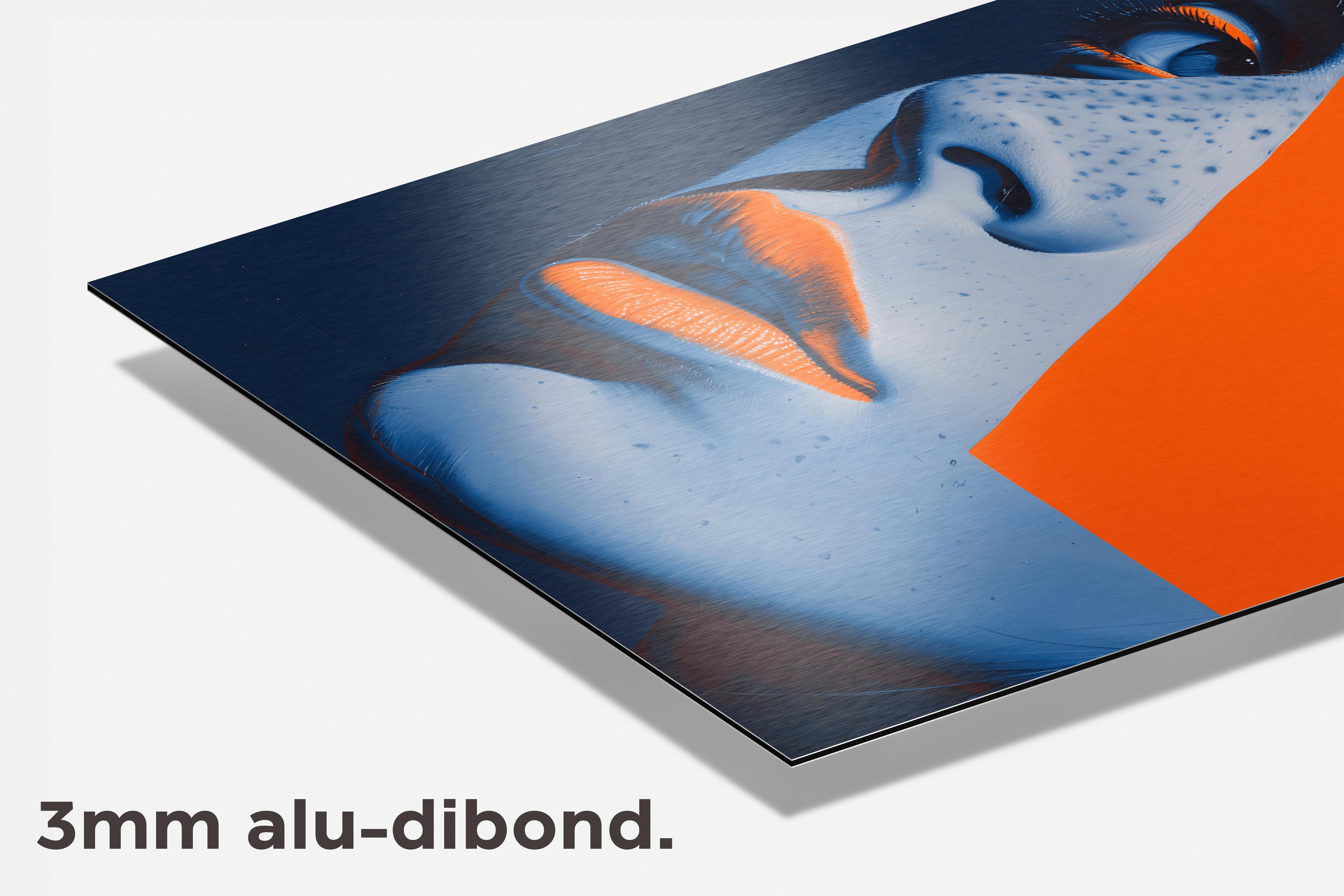 Blauw Oranje Portret dibond detail