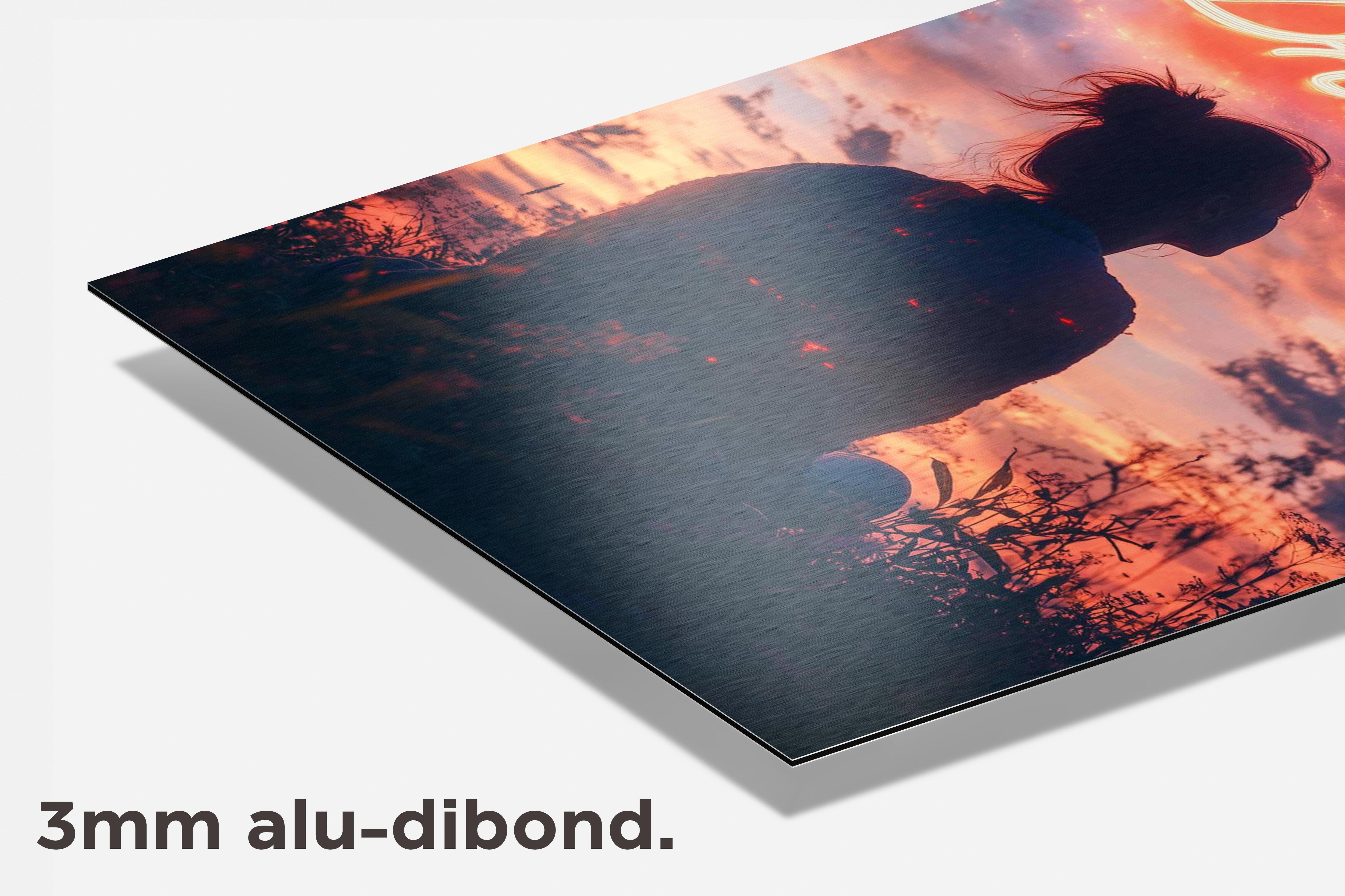 Dream Big dibond detail