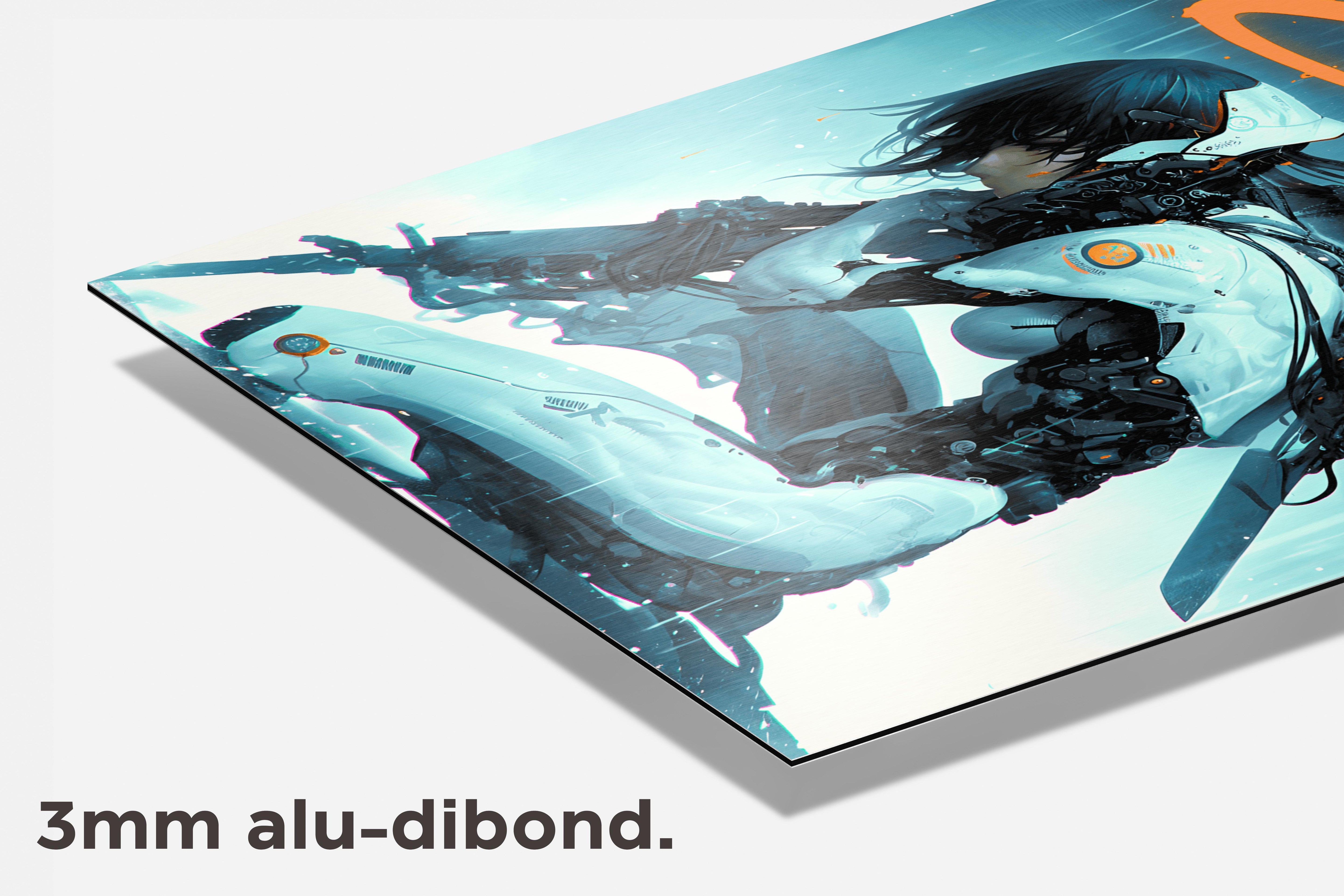 Halo Biomech dibond detail