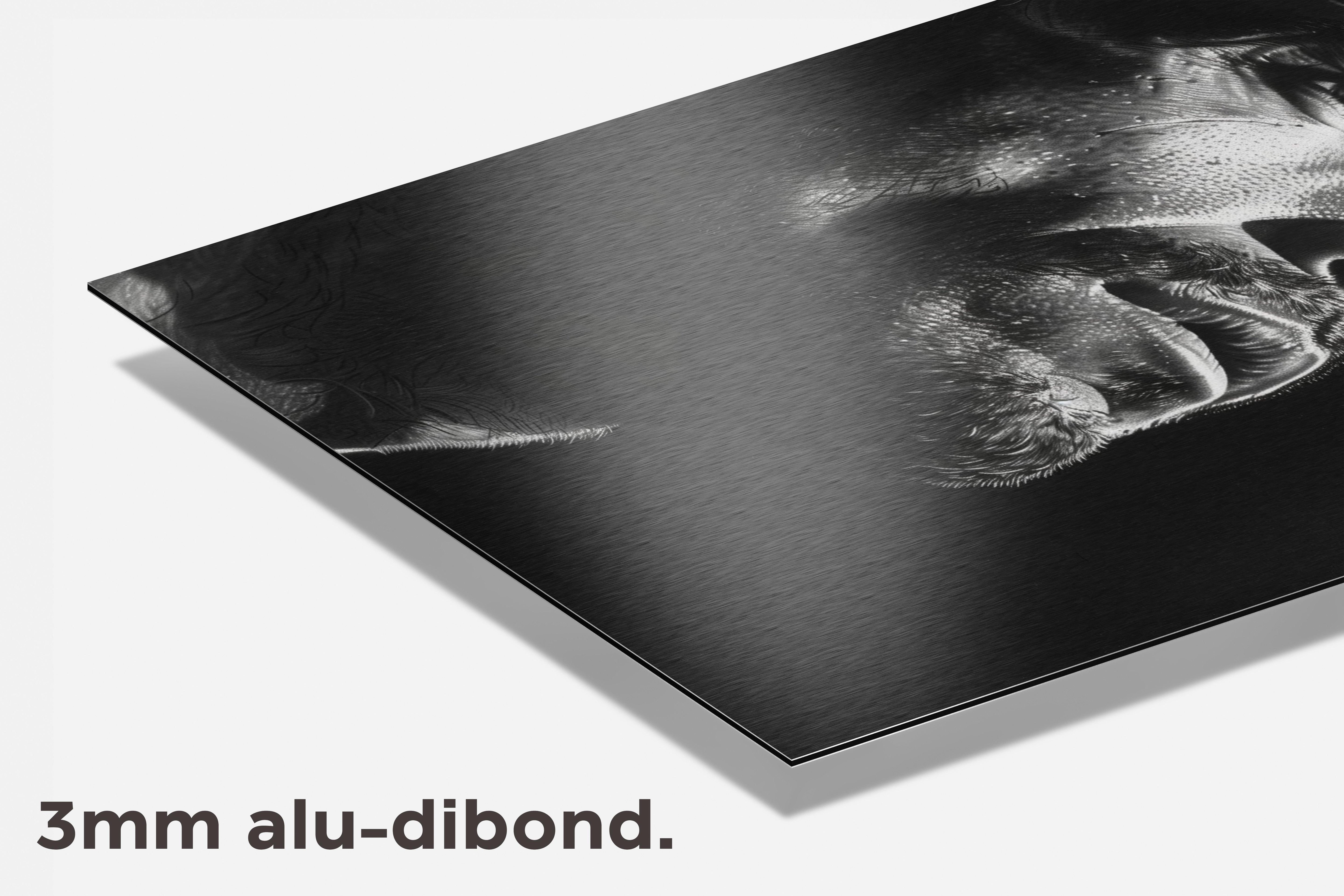 Diego Maradona dibond detail