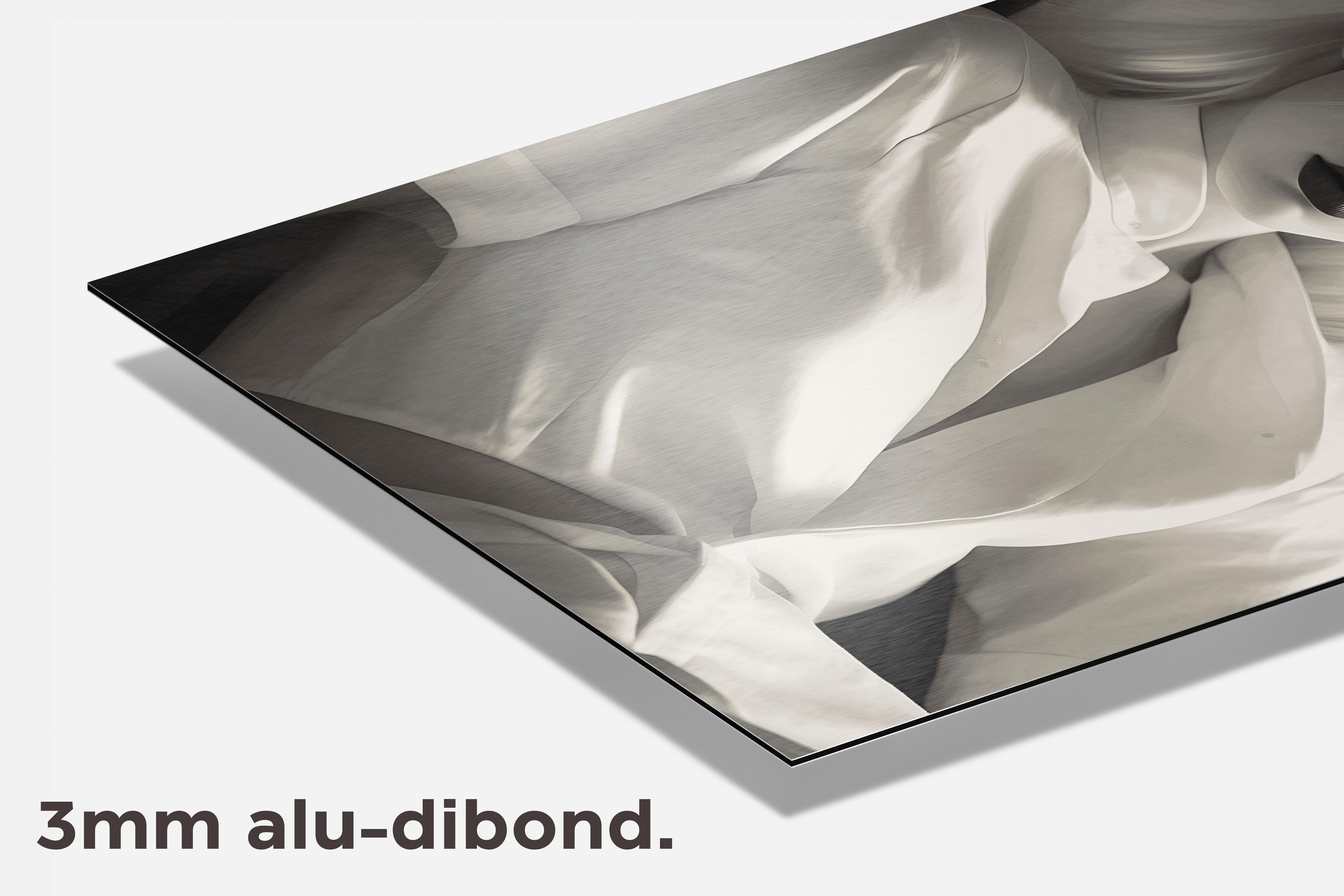 Wit Rood Aesthetic dibond detail
