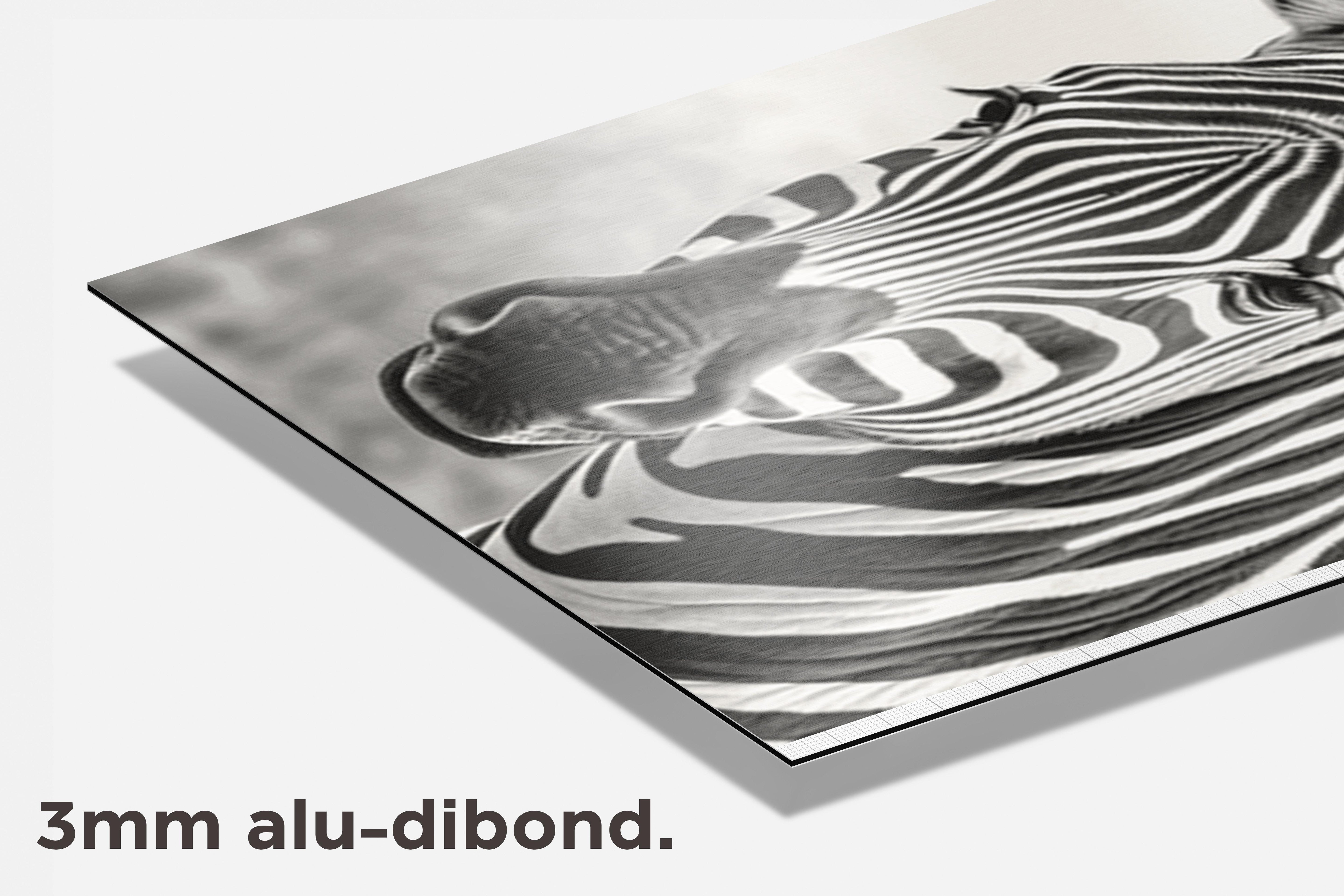 Zebra Afrika dibond detail