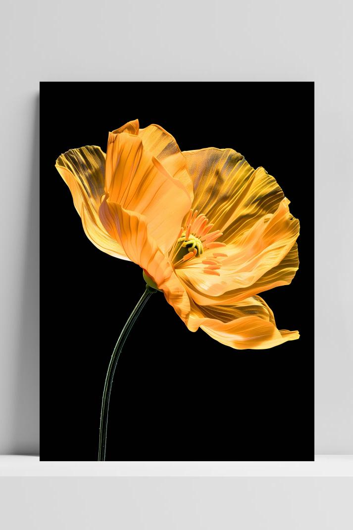 Gele Klaproos op 3mm aluminium dibond