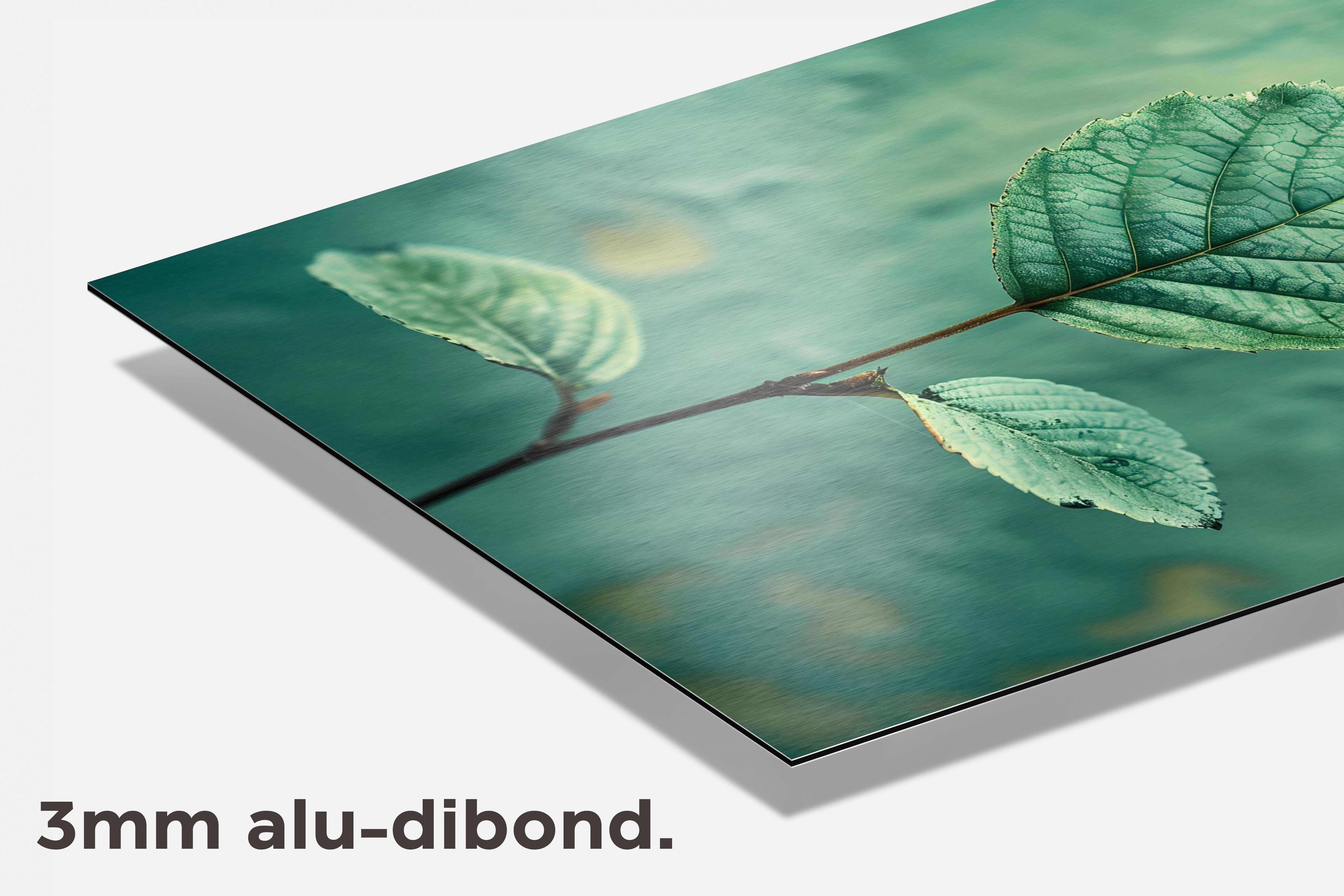 Blad dibond detail