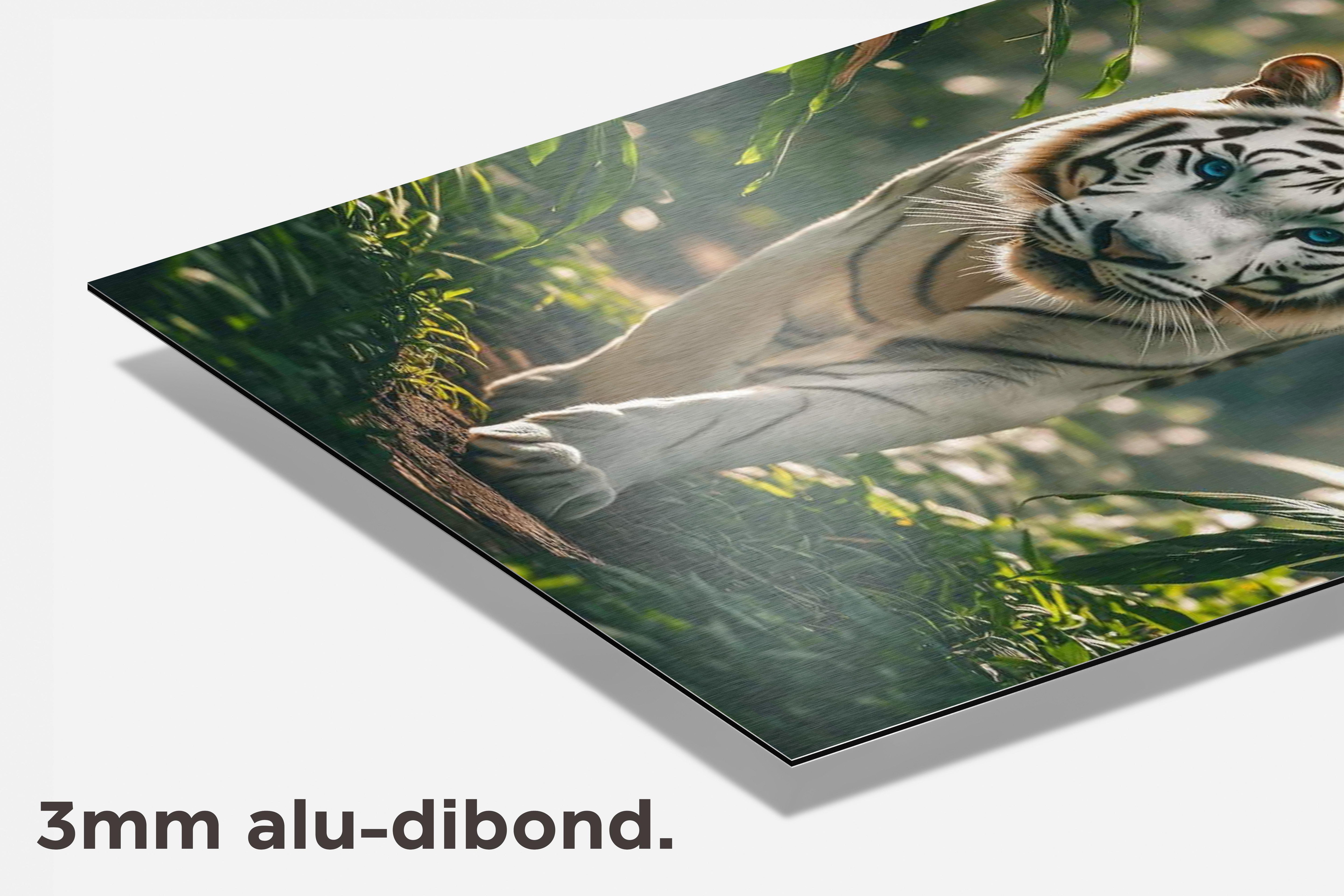 Witte Tijger dibond detail