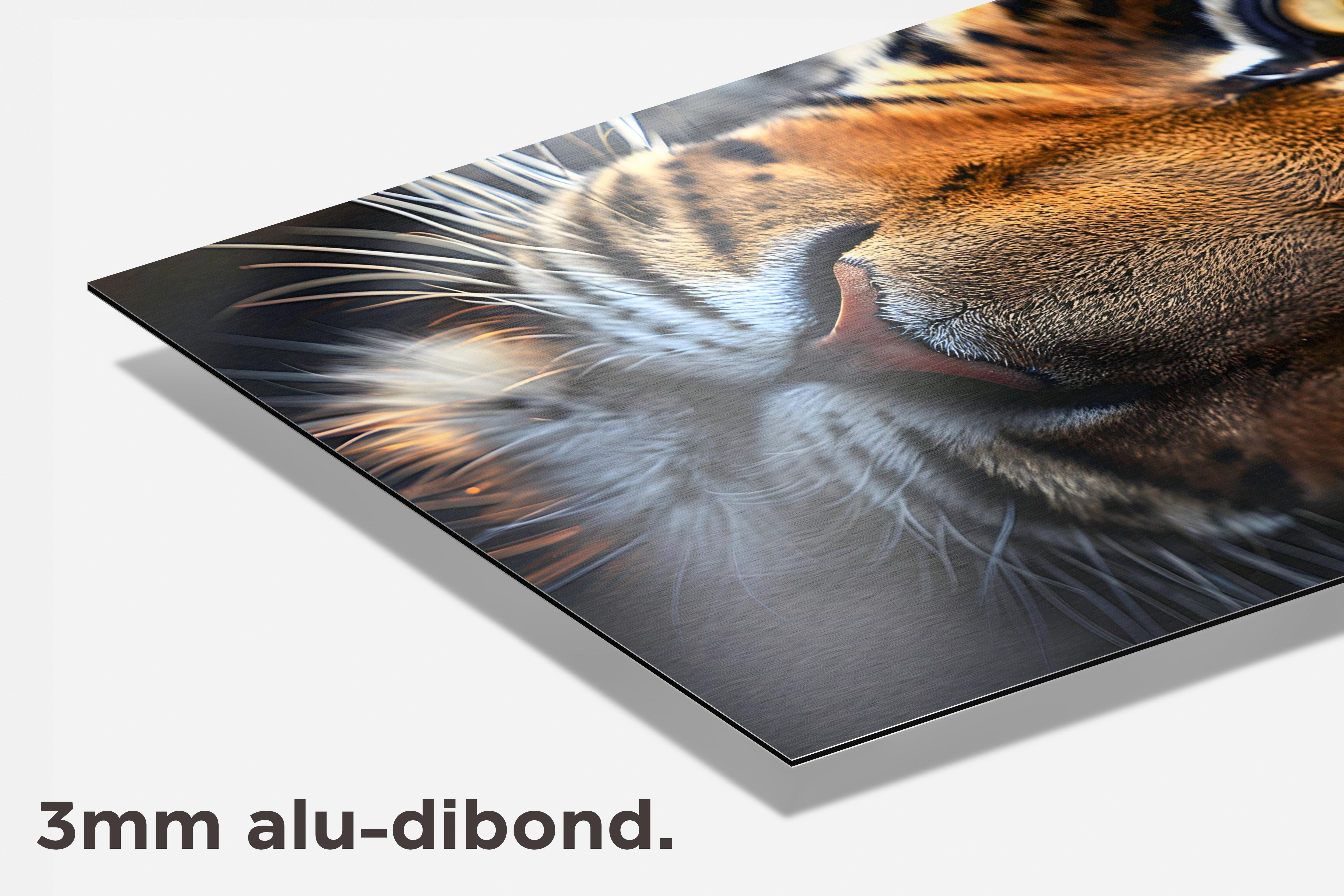 Tijger Close-Up dibond detail
