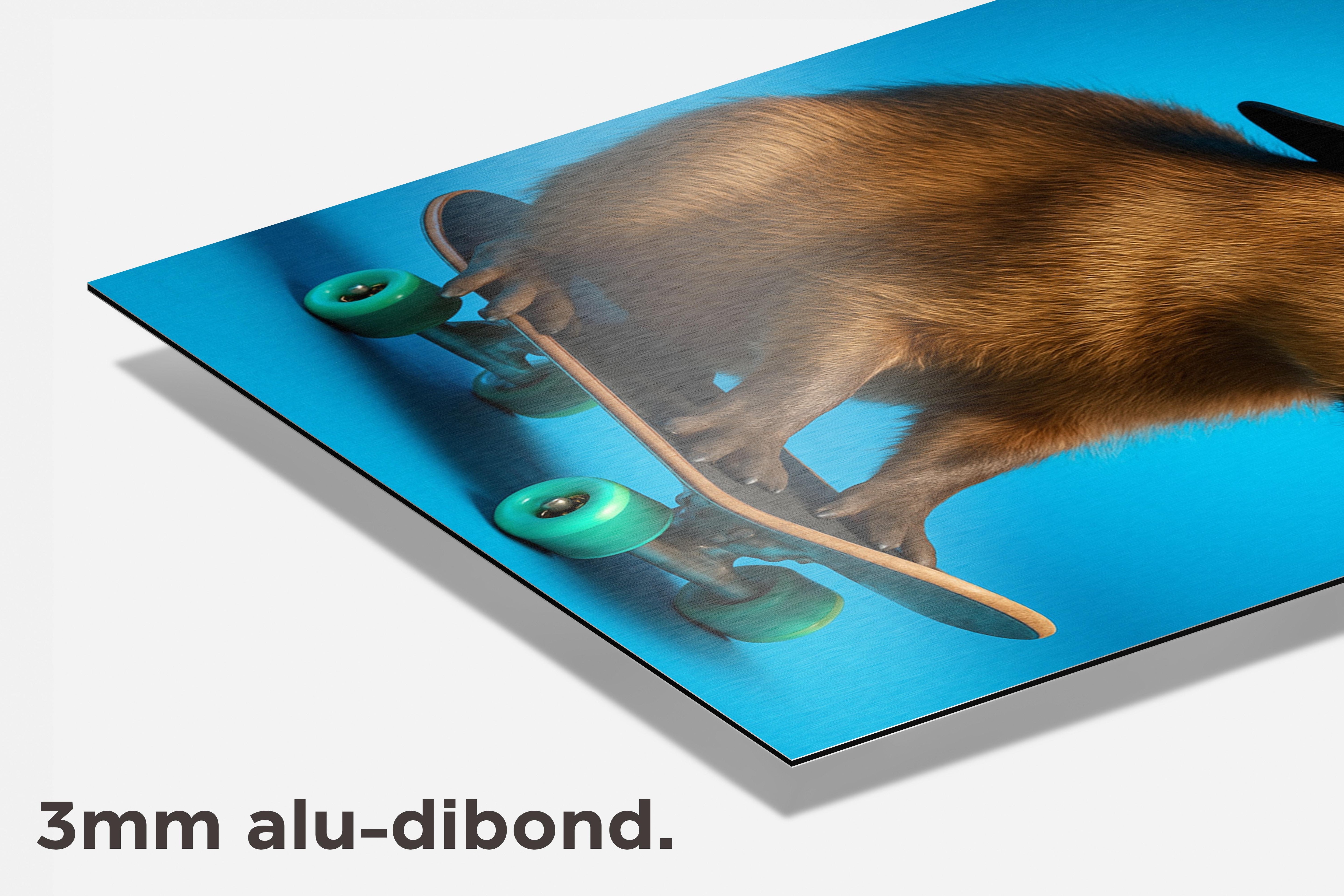 Capibara Skateboard dibond detail