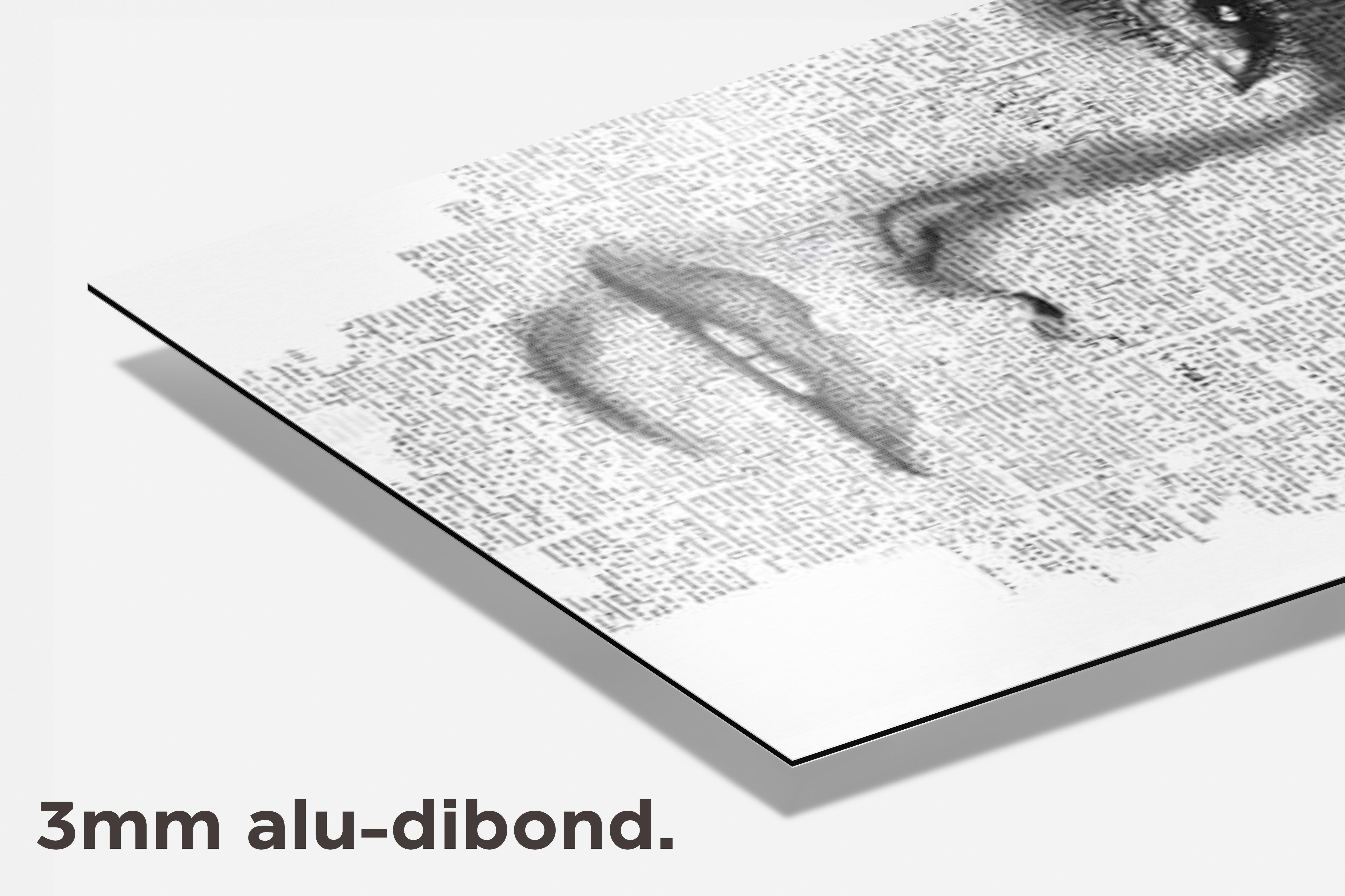 Tekst Portret dibond detail