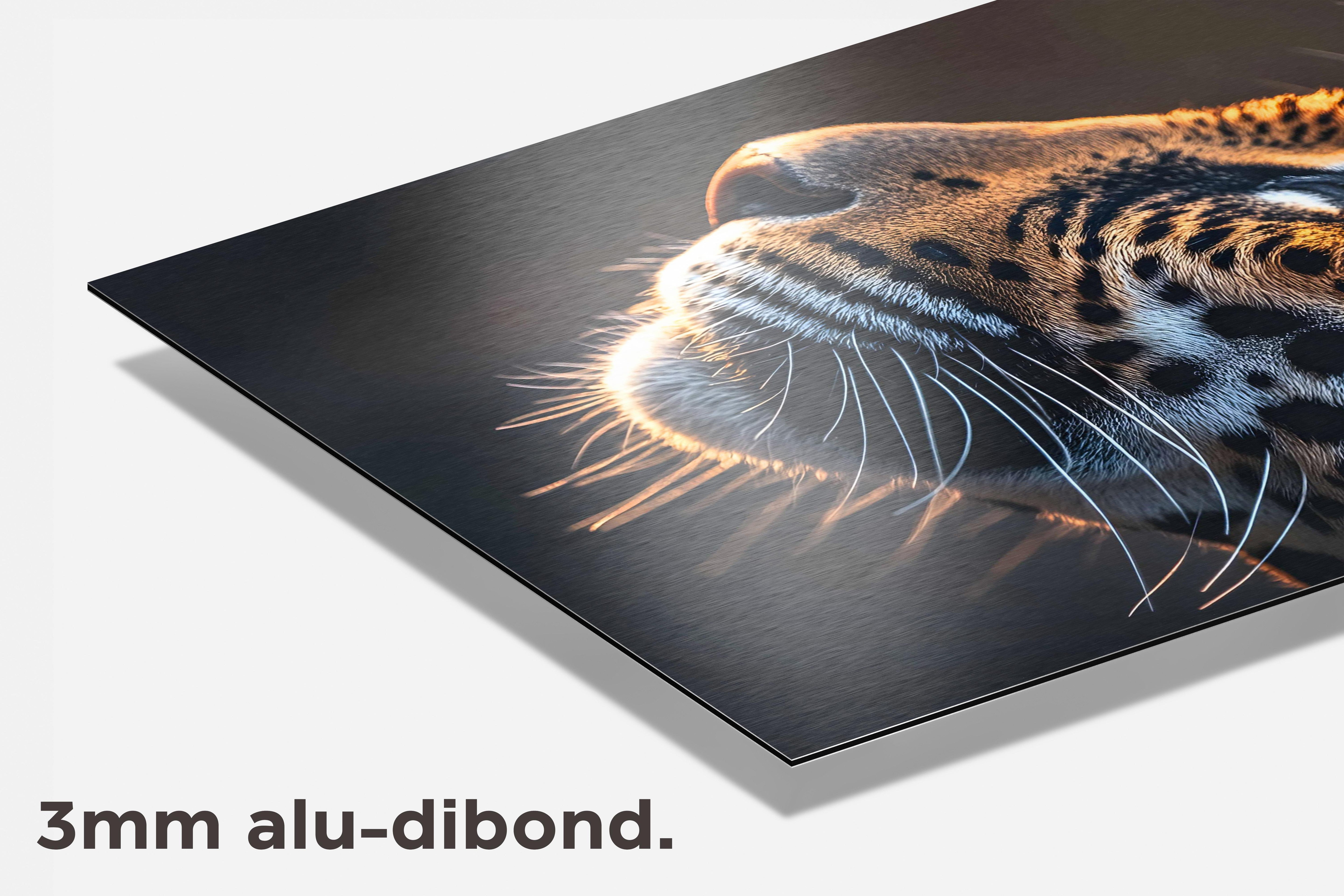 Jaguar Close-Up dibond detail