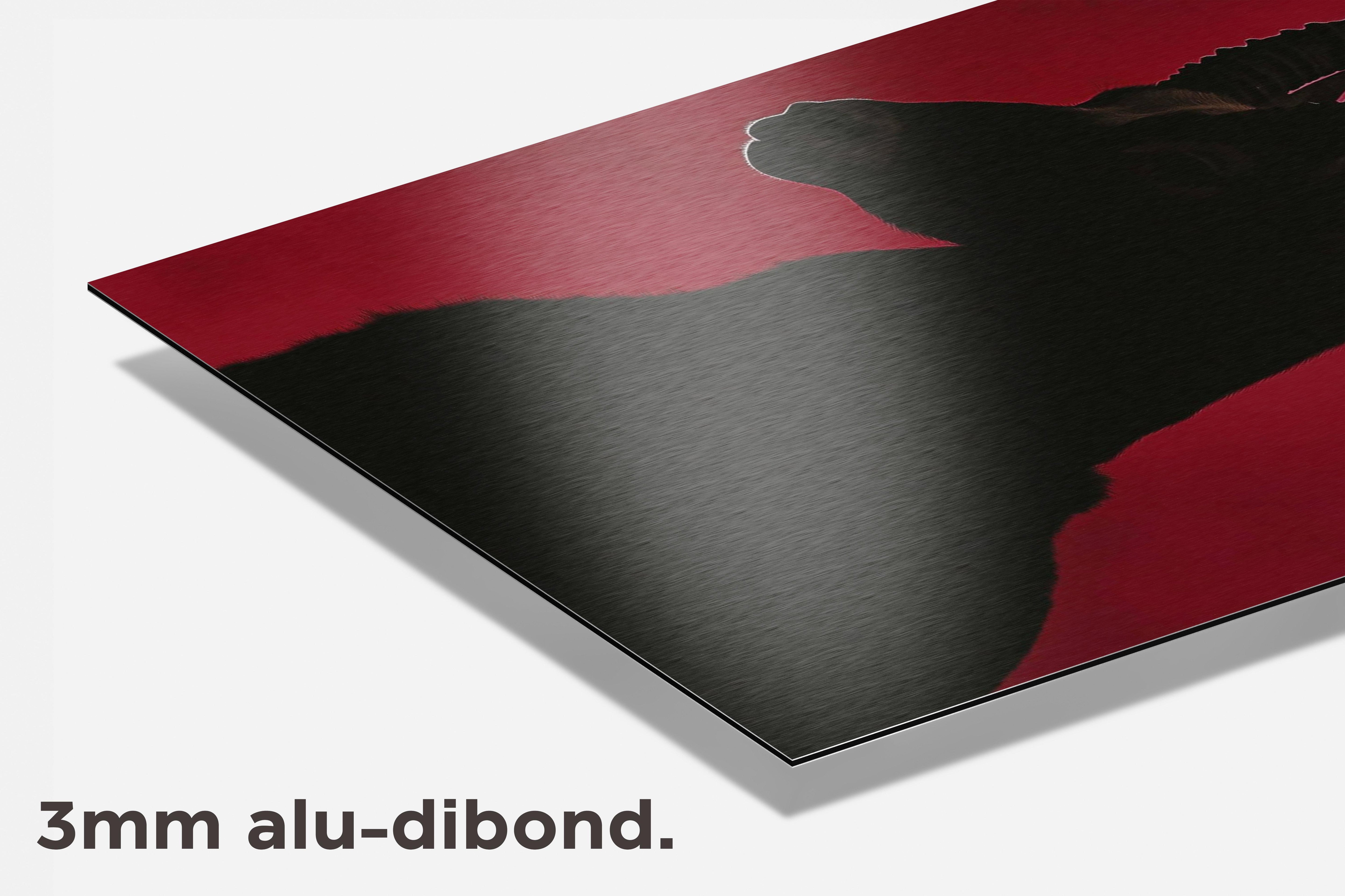Geit dibond detail