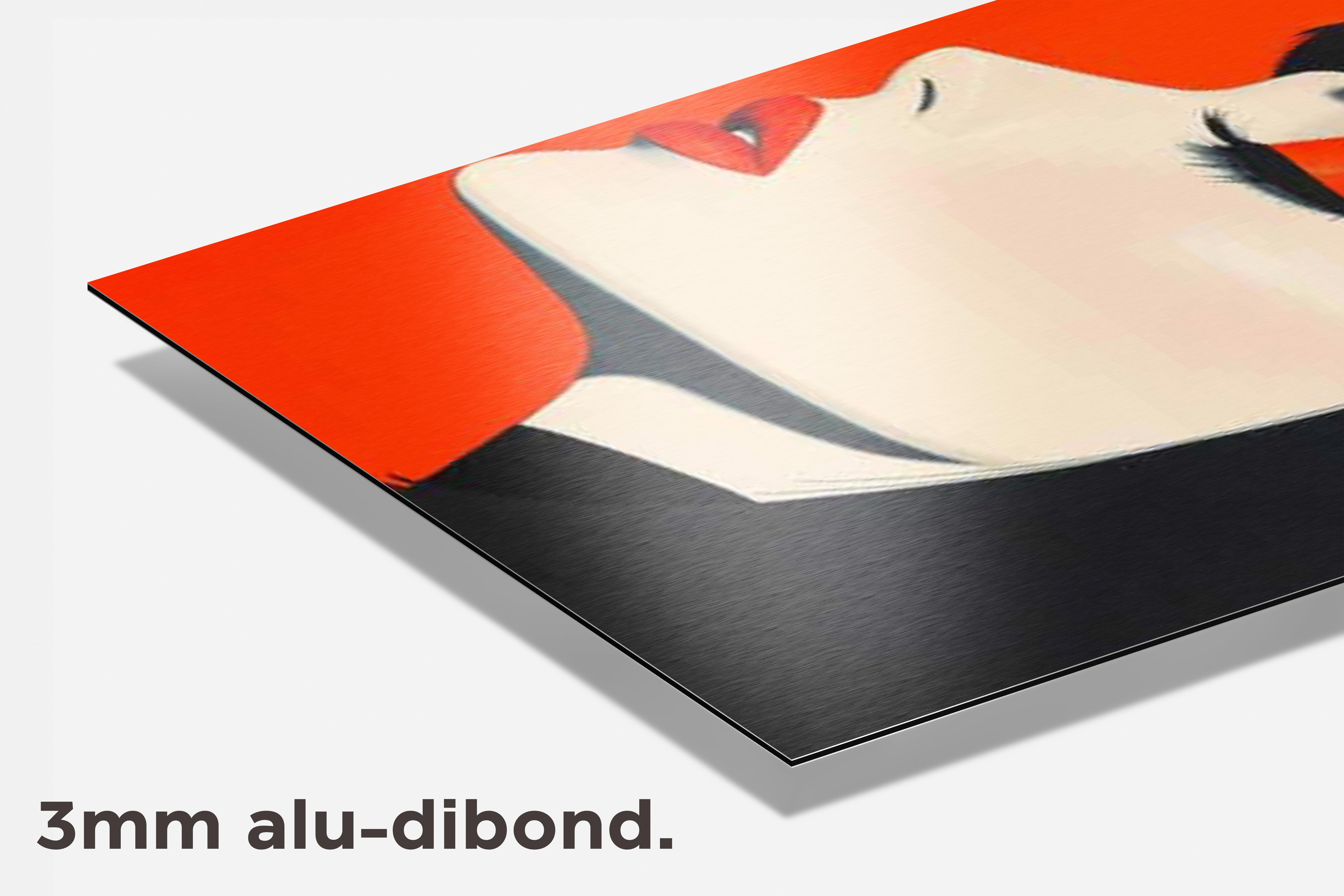 Dame Pop Art dibond detail
