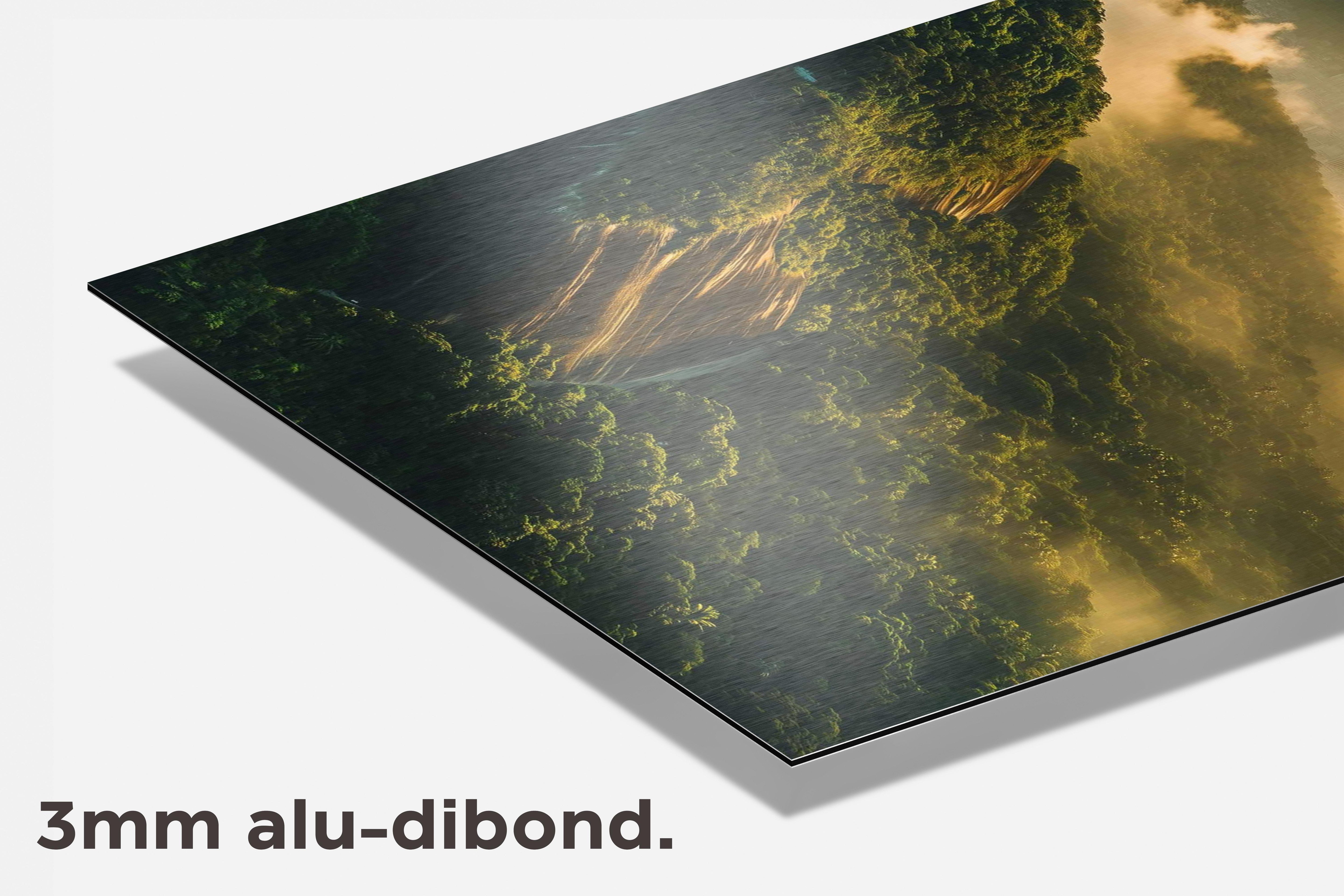 Rio de Janeiro dibond detail