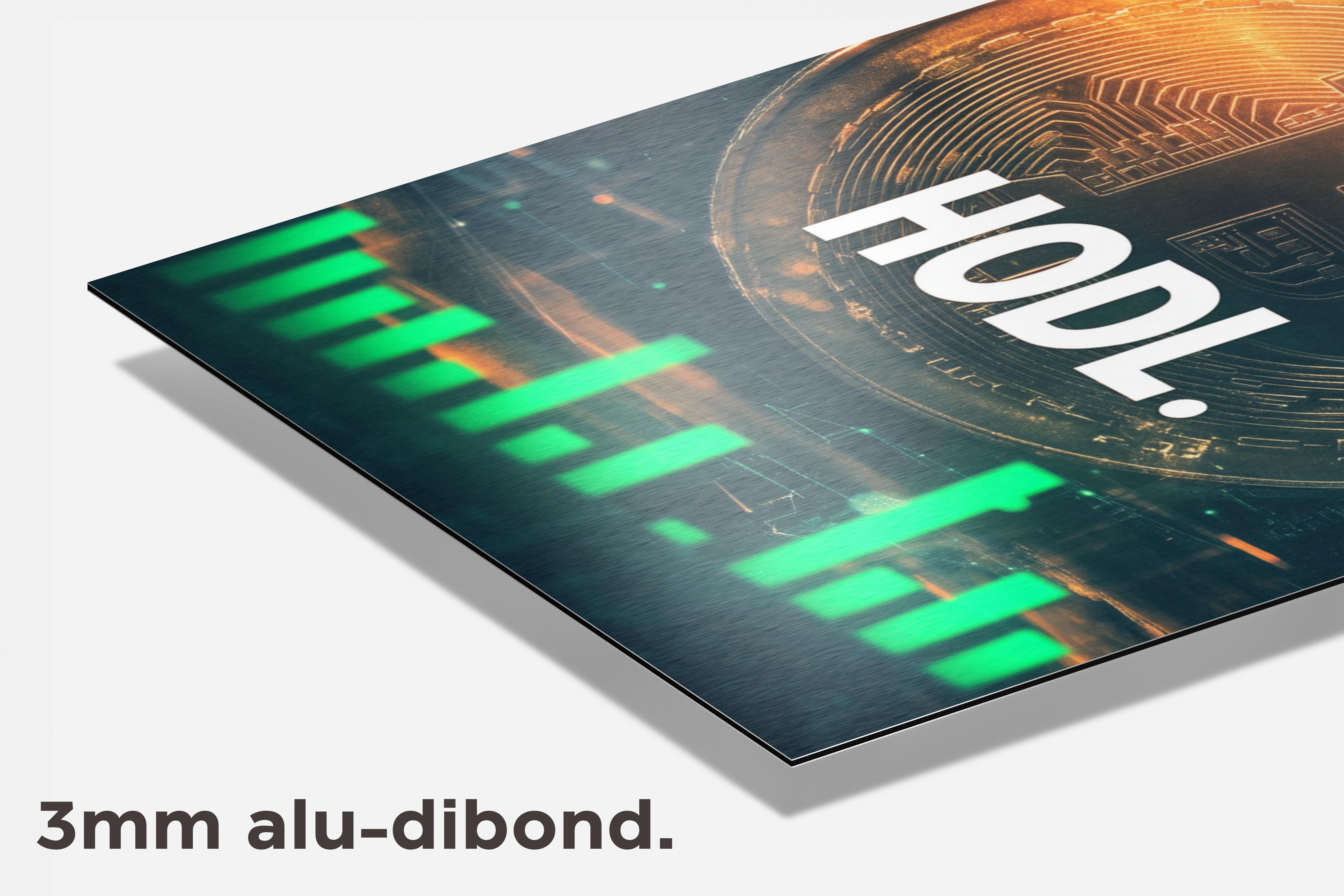HODL dibond detail