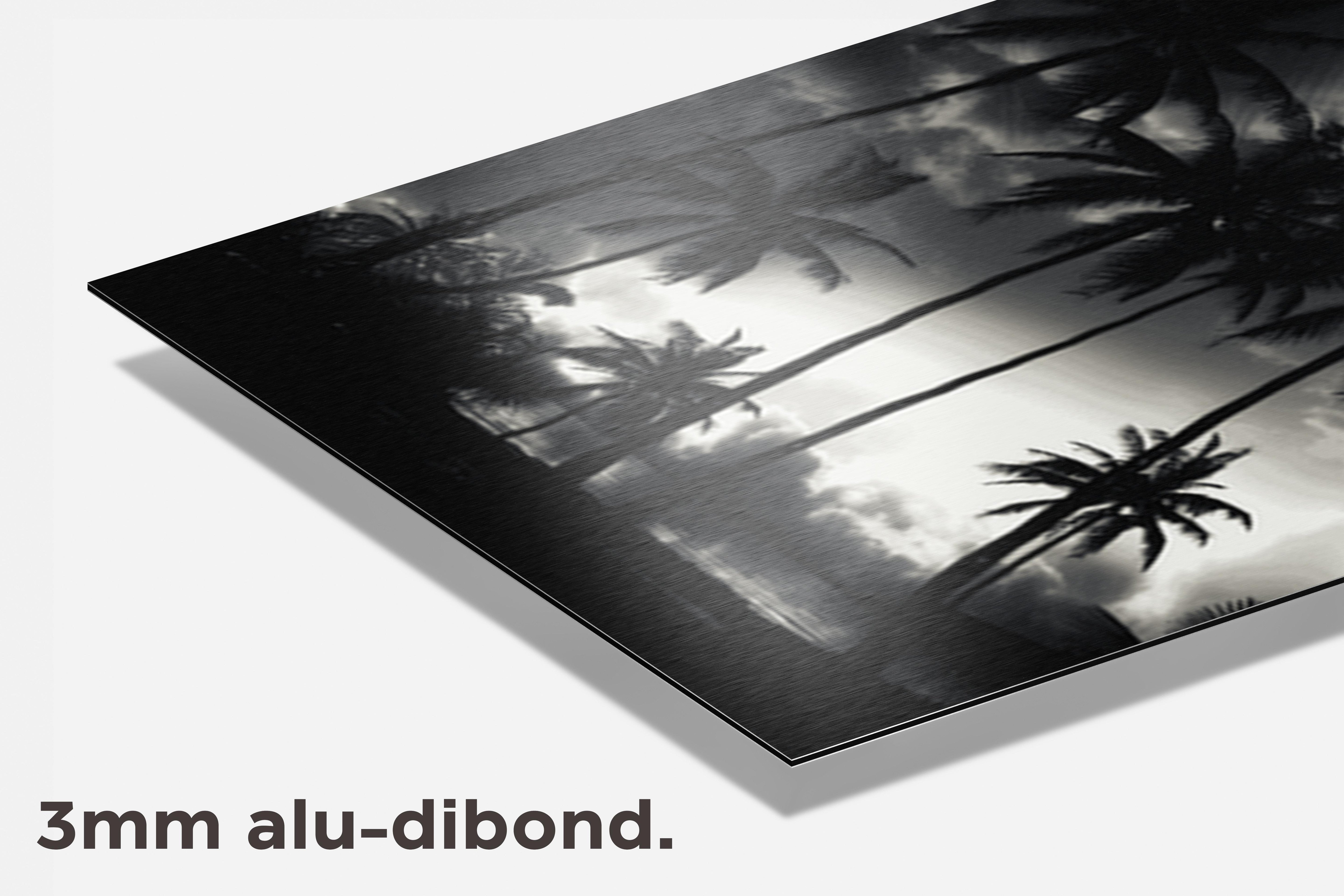 Zwart Wit Palmbomen dibond detail