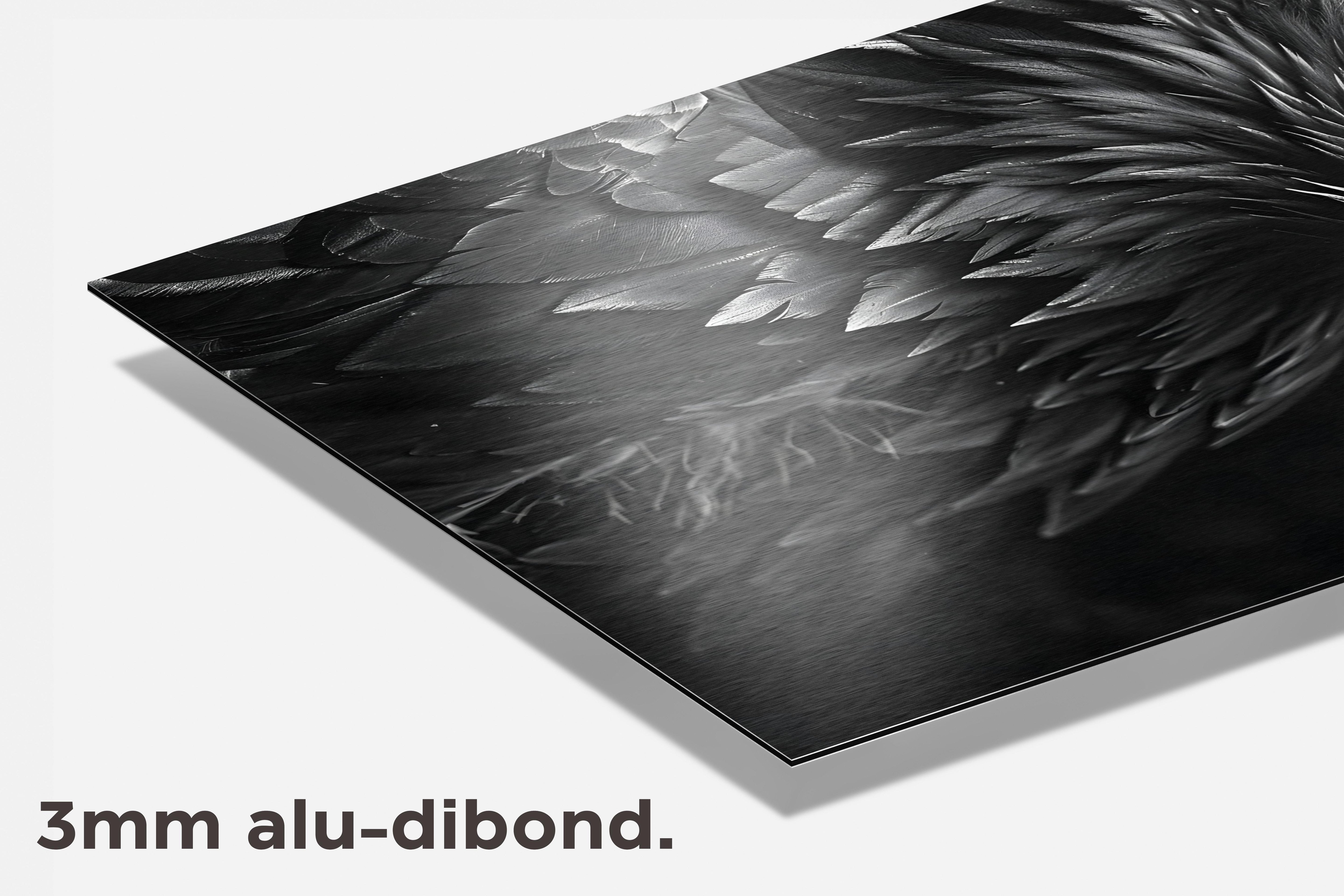 Adelaar dibond detail